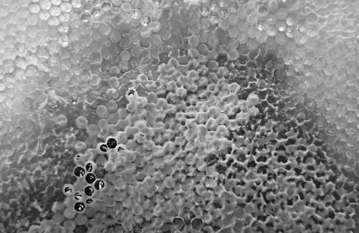 微晶纤维素如何进行改性来增强与PBAT的相容性