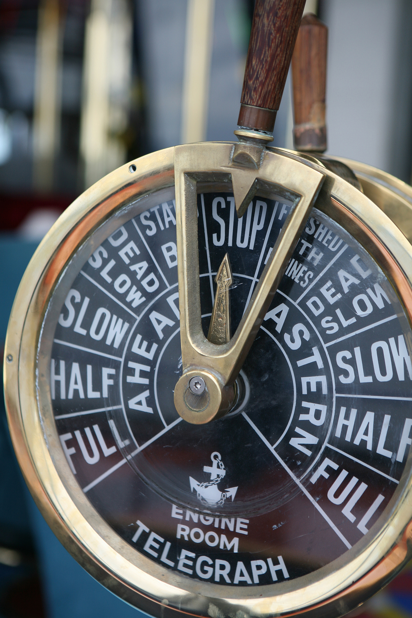 cruise images