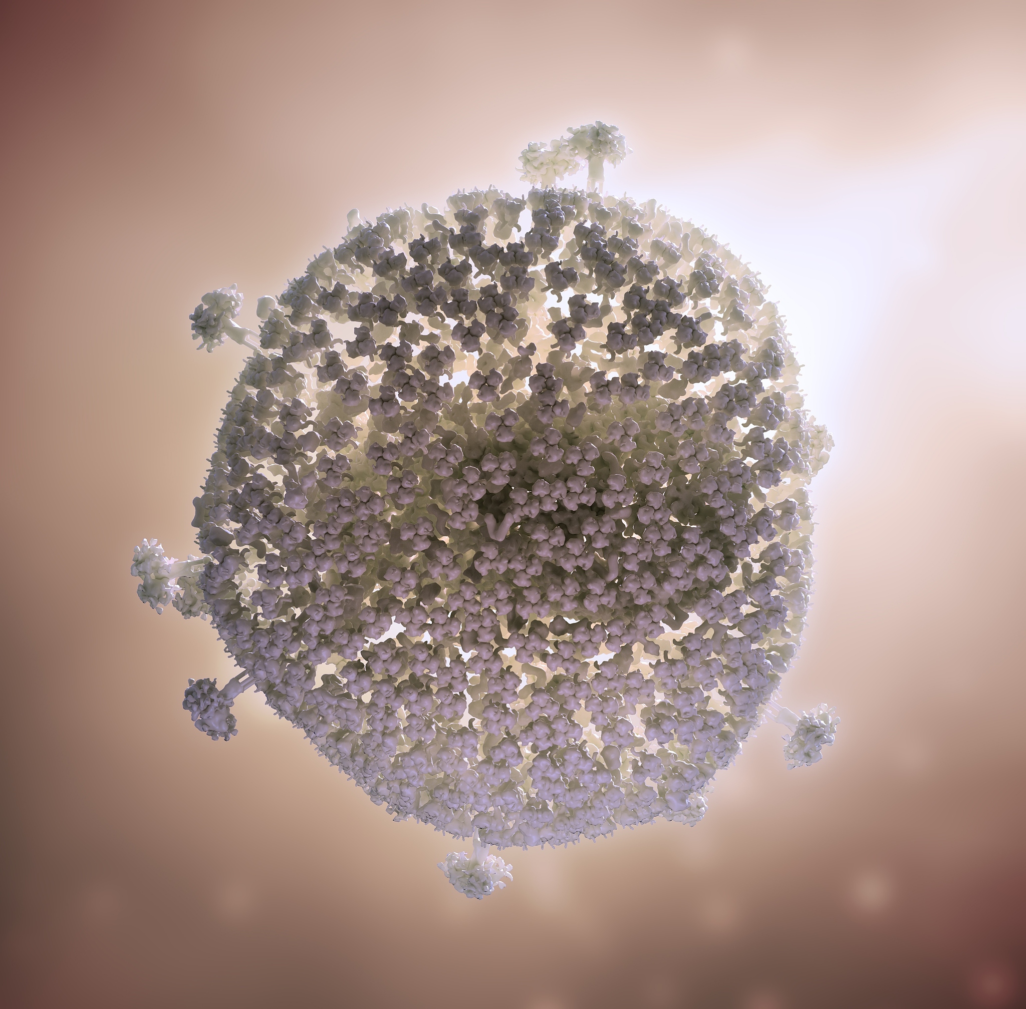 艾滋病病毒学研究？