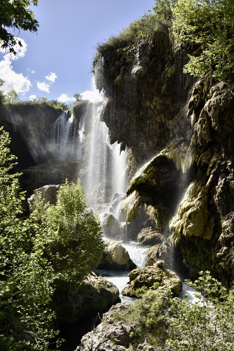 四年级科普读物有哪些书