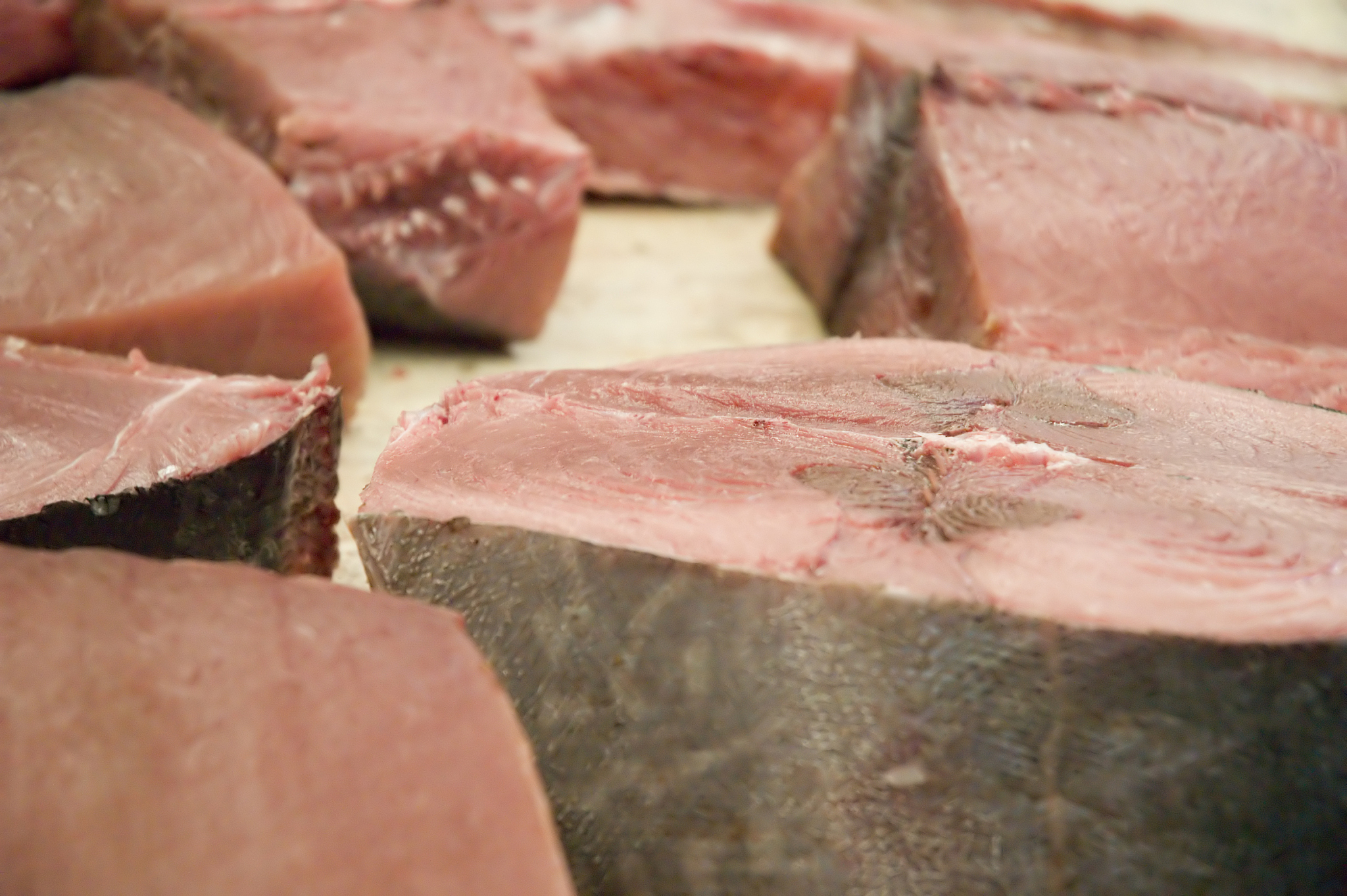 tuna at the market