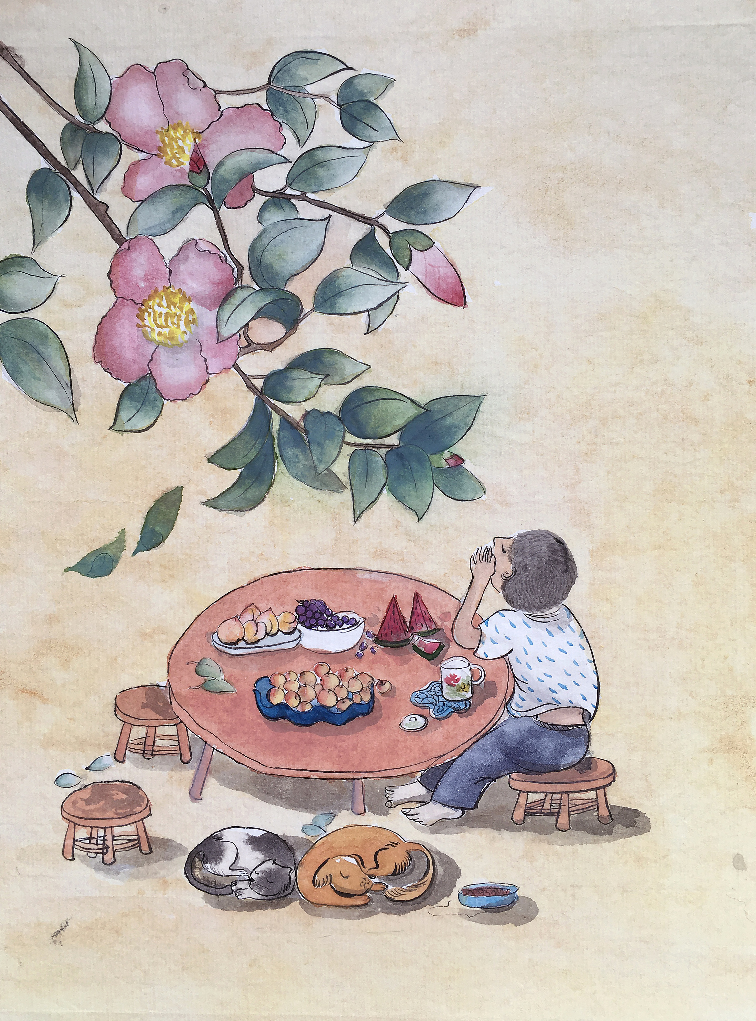 外婆的蒲扇：传承的爱与清凉