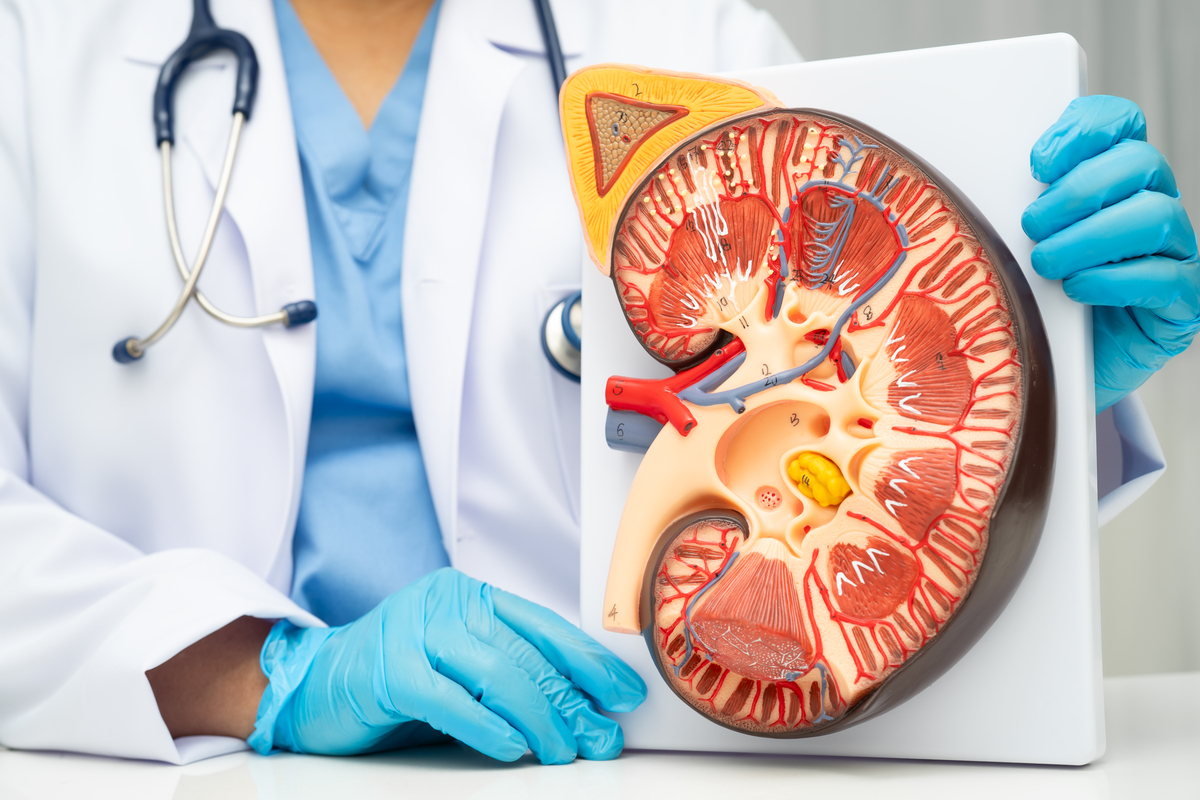 年轻人得尿毒症的原因：常见致病因素解析