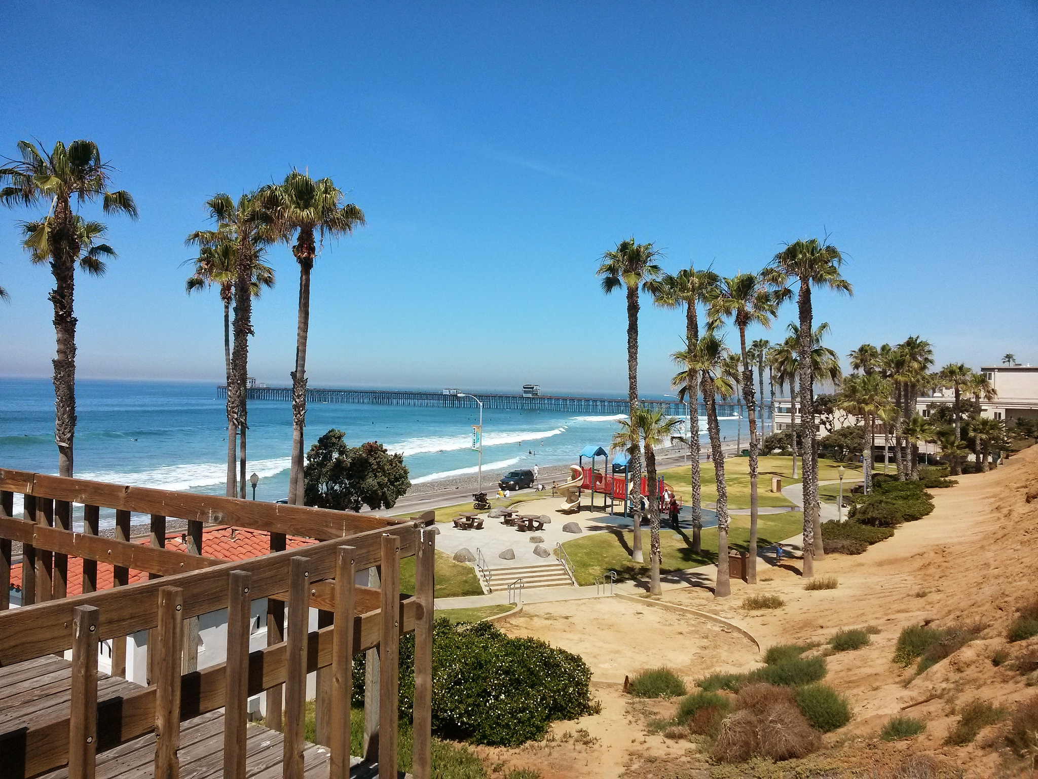 harga ikan limbata siap contes