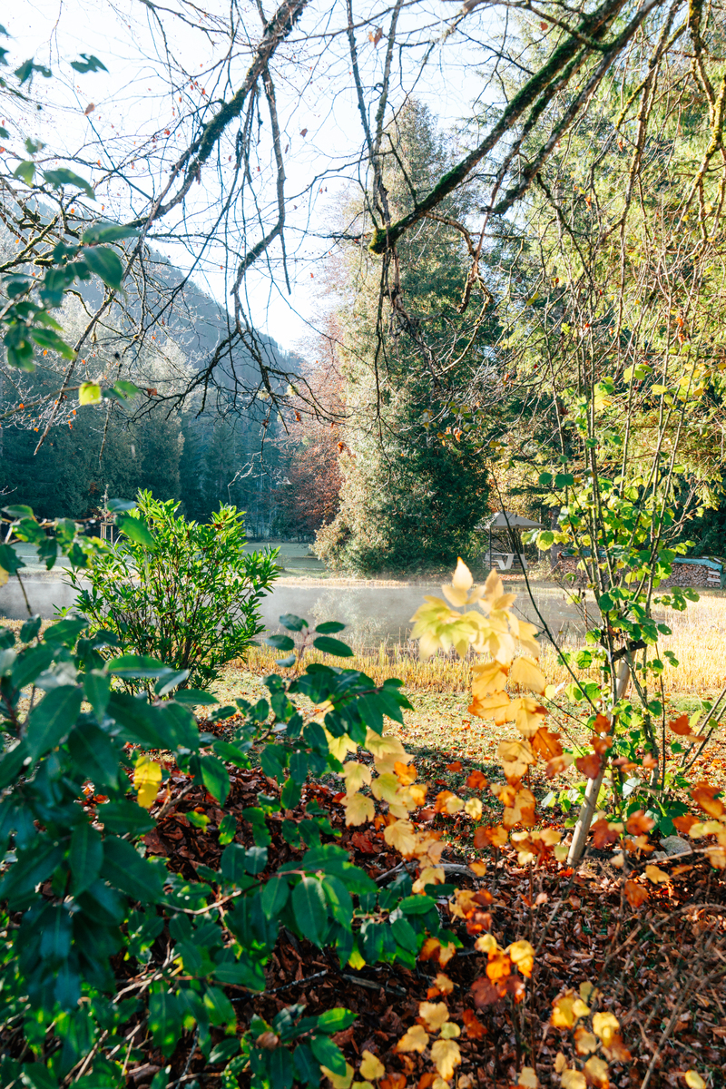 首句是梅子黄时日日晴
