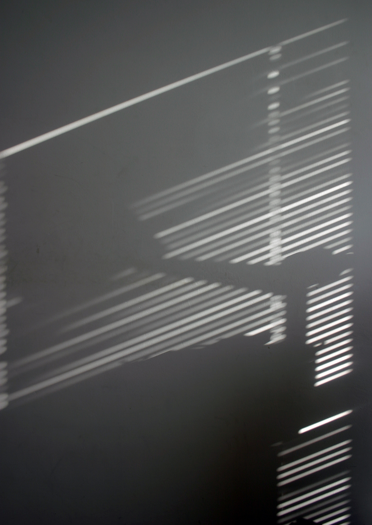 概括这Detection and Blur-Removal of Single Motion Blurred Image using Deep Convolutional Neural Network的算法流程