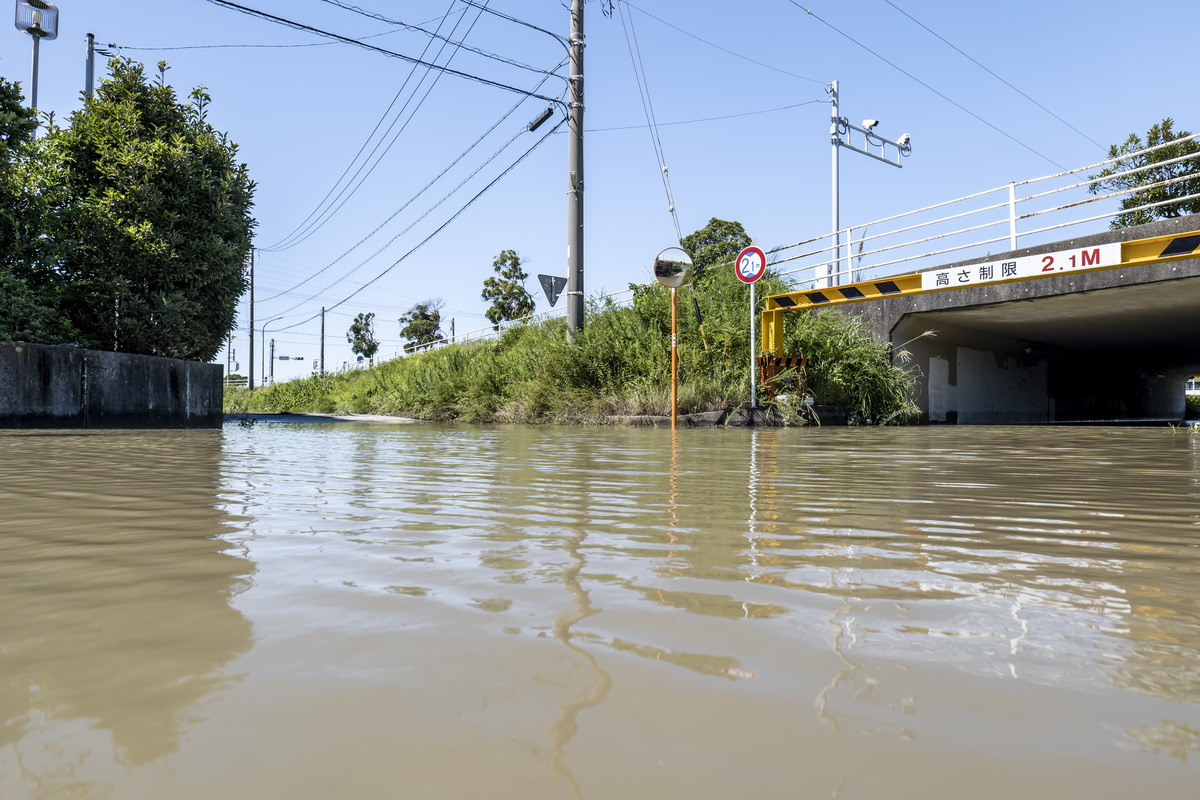 20条回复：防台防汛不可失防万一