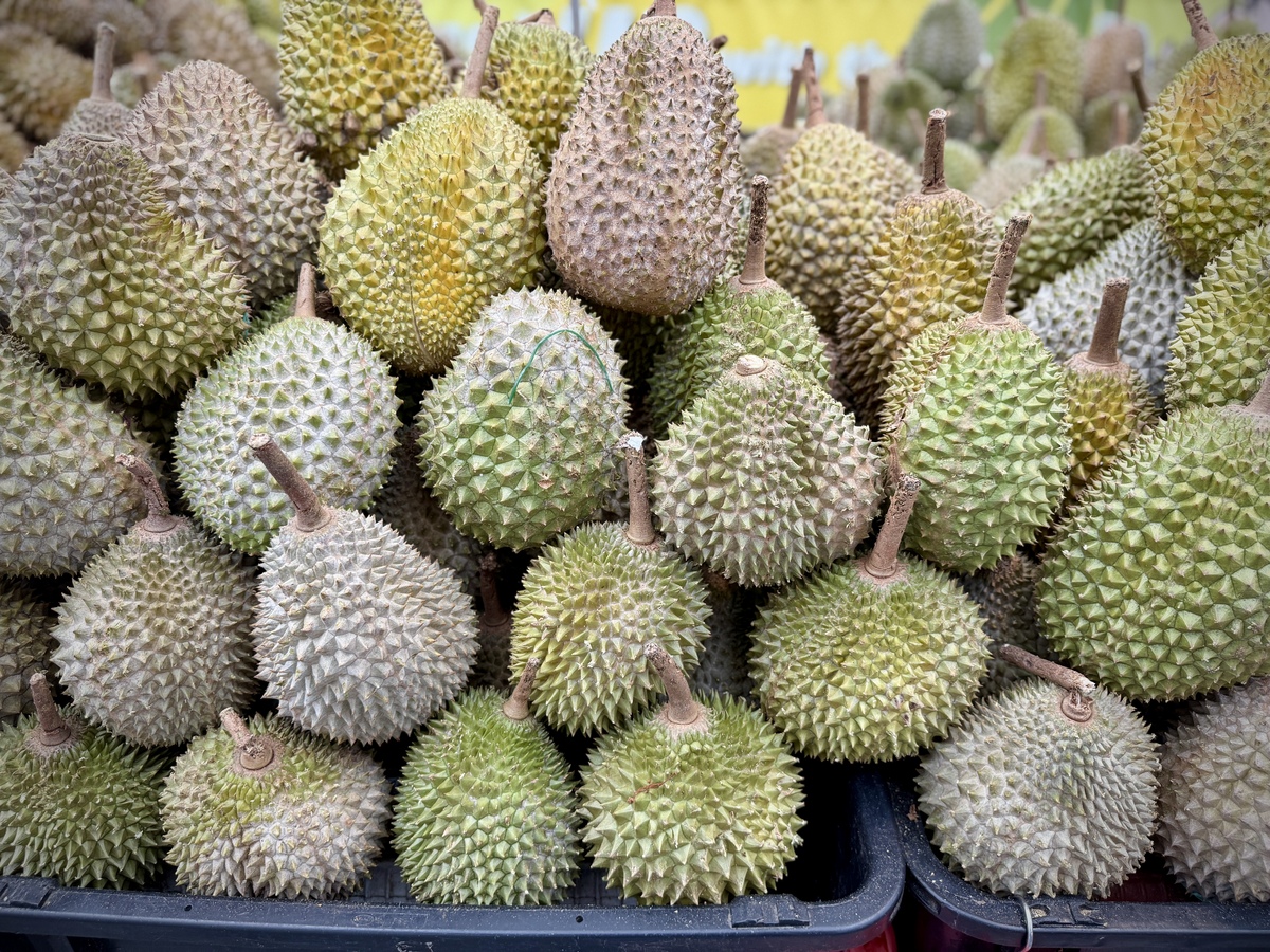 新加坡最贵榴莲：猫山王价格高达100美元！