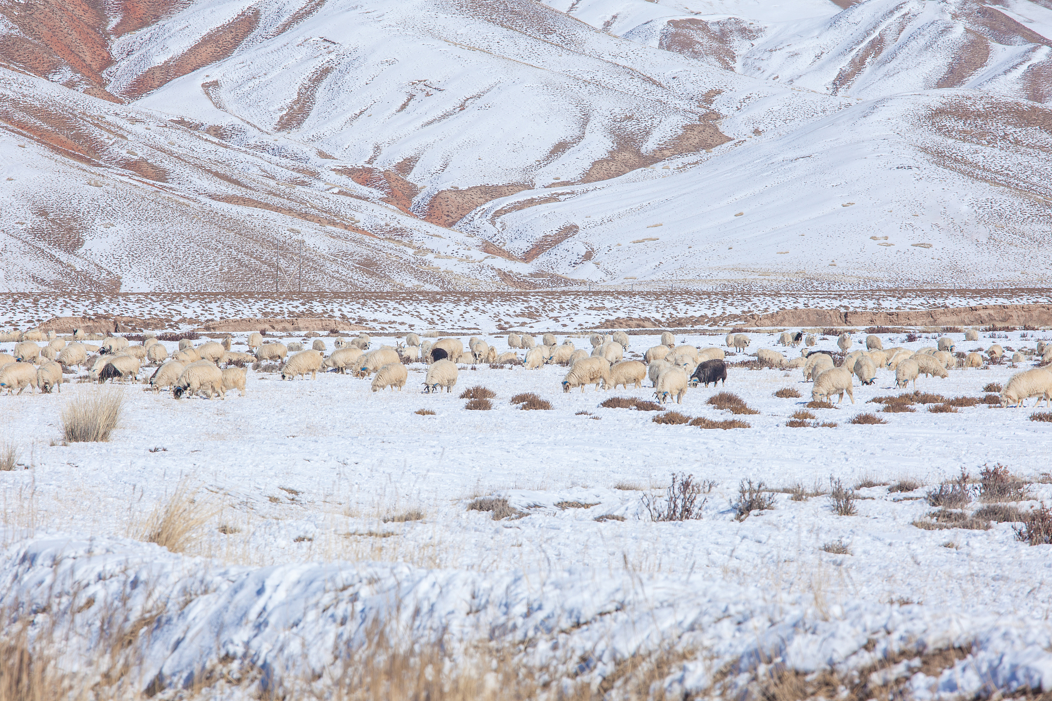 瓜州冶金中等专业学校2022年招生简章 - 报名流程、专业设置、奖学金