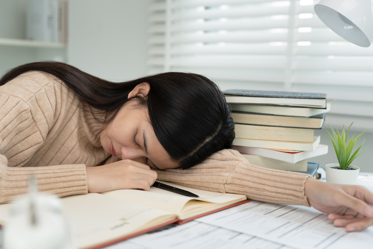 学不动了怎么办？ChatGPT 给你支招！