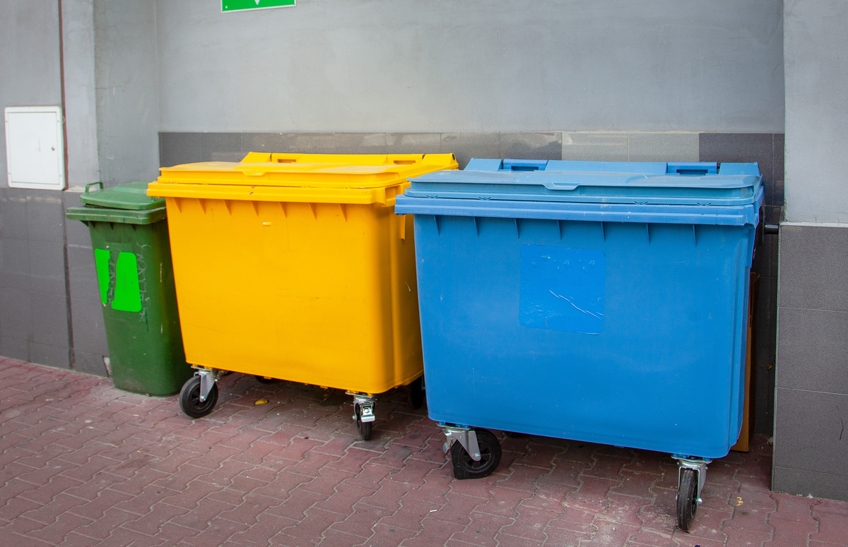 给我设计一个校园垃圾分类流程