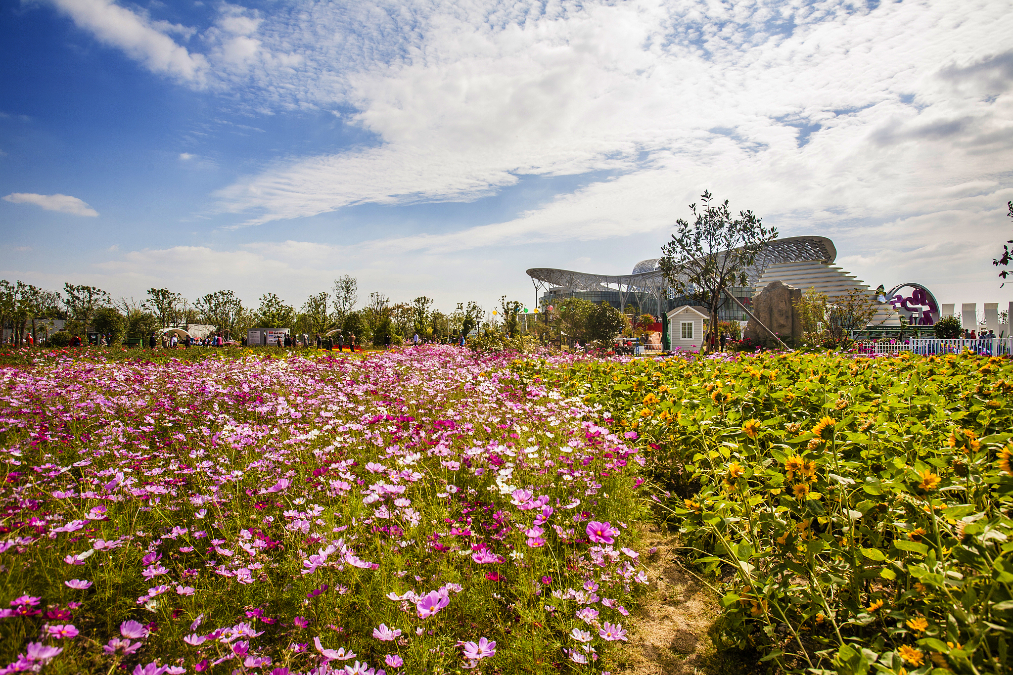 江苏卫校就业排名：哪所卫校最具就业优势？