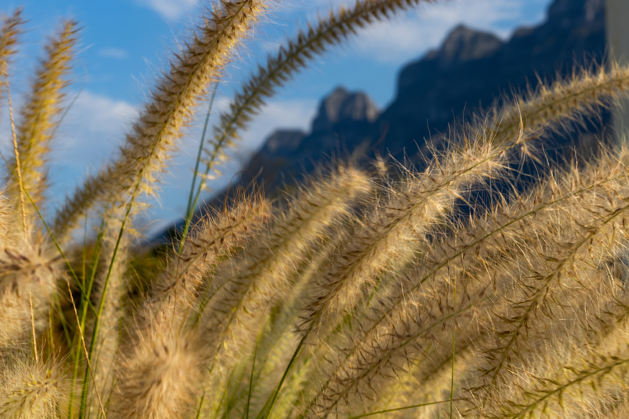 合肥财经职业学院种子生产与经营专业怎么样？就业前景分析