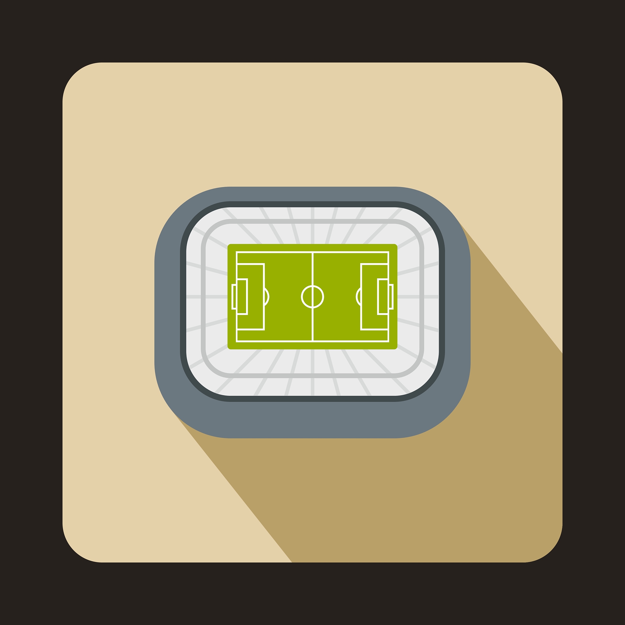 large football stadium icon flat style