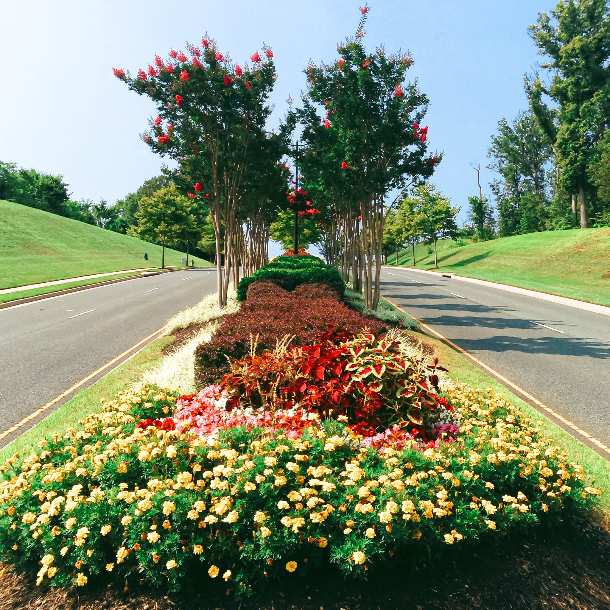 河南职业技术学院园林工程技术专业涉及哪些课程