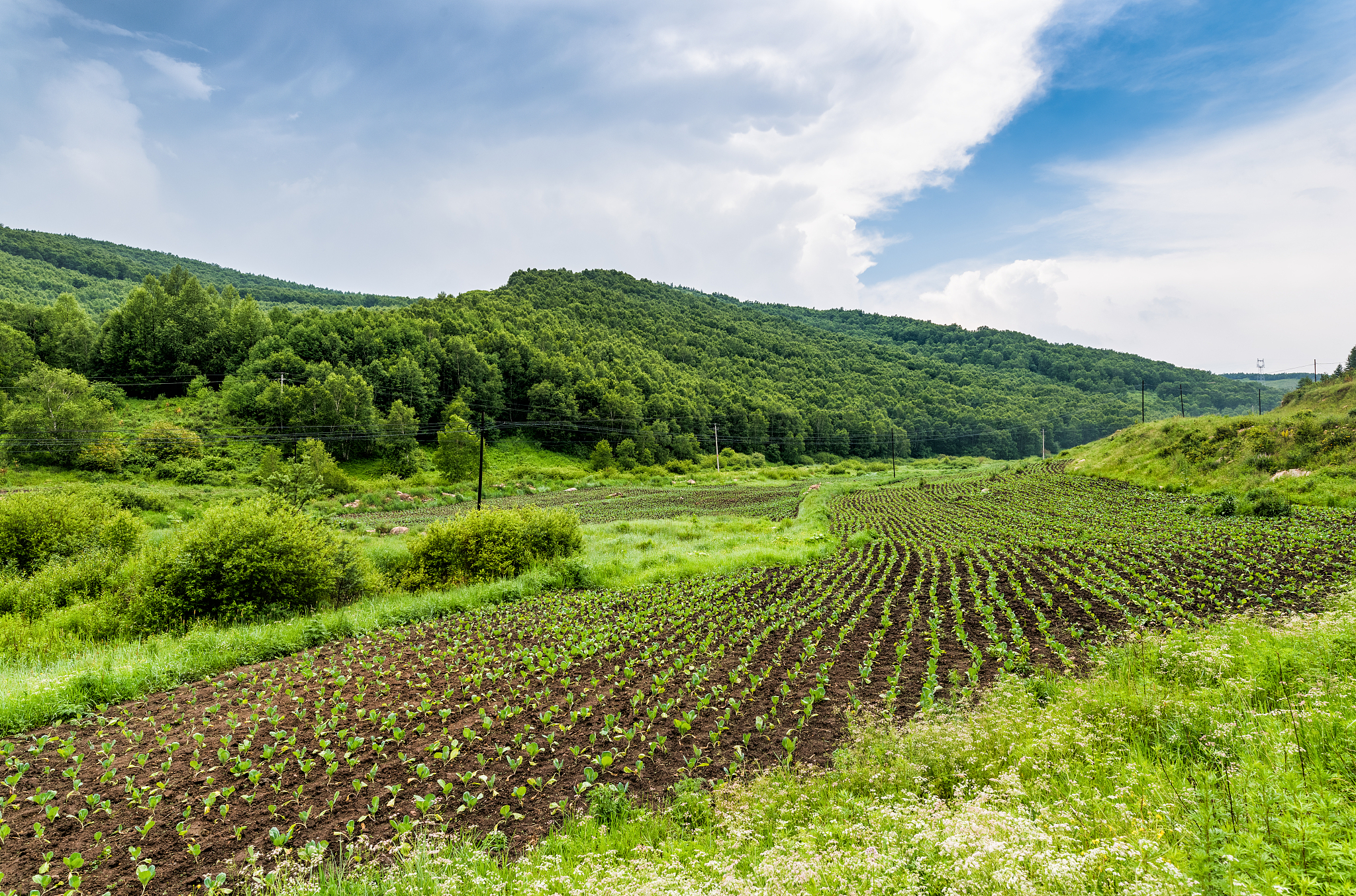 贵州高中毕业上什么中专学校好