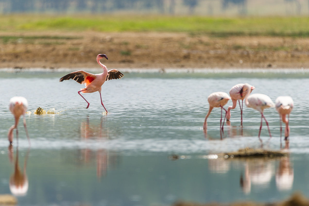 事业单位 2023 年度团支部工作计划框架