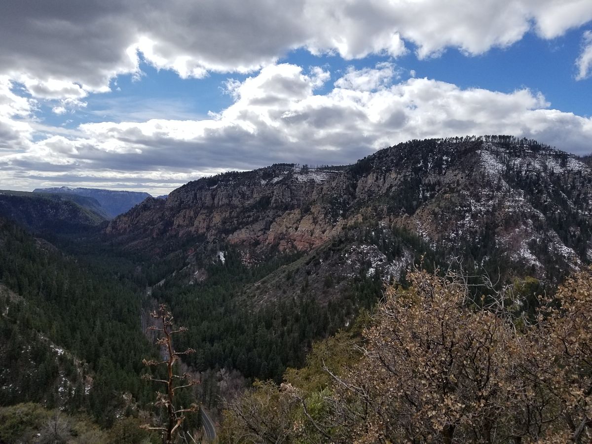 甘肃兰州兴隆山植被垂直地带性分布及特点 - 生态环境与生物多样性