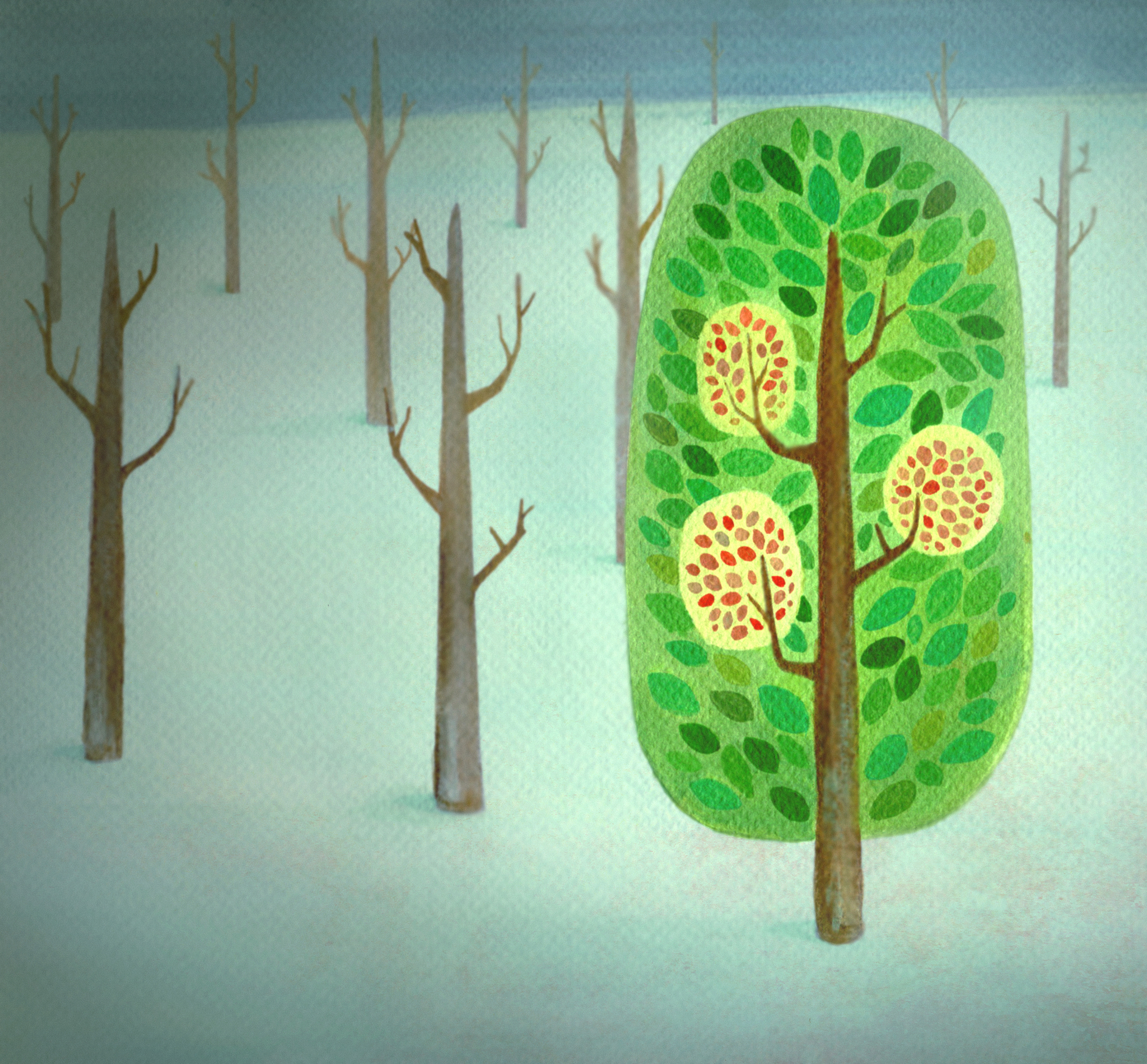 请描写一下一个靠着大树睡着的年轻人被外婆弹了一下额头清醒的画面