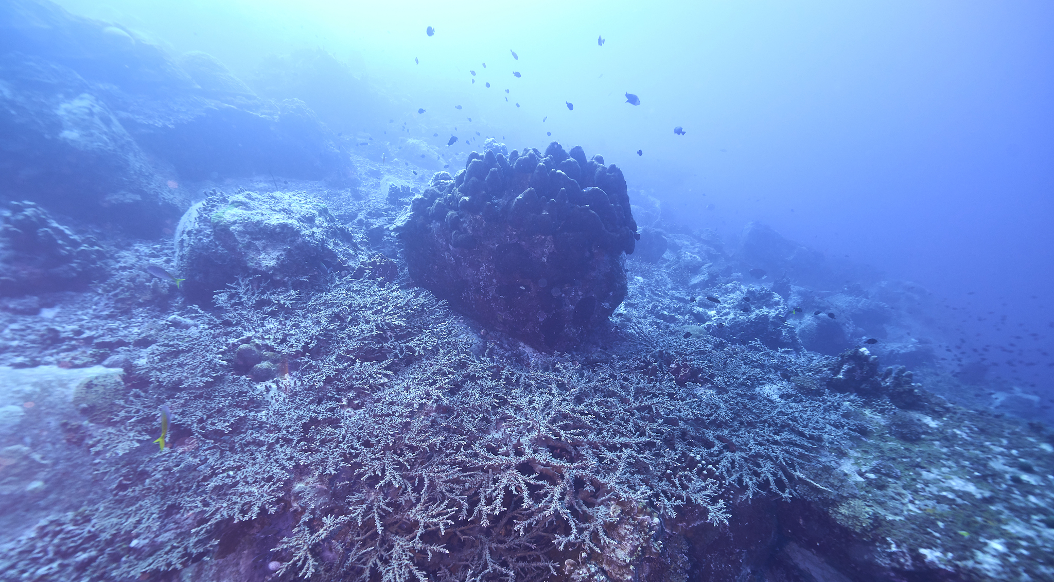 underwater