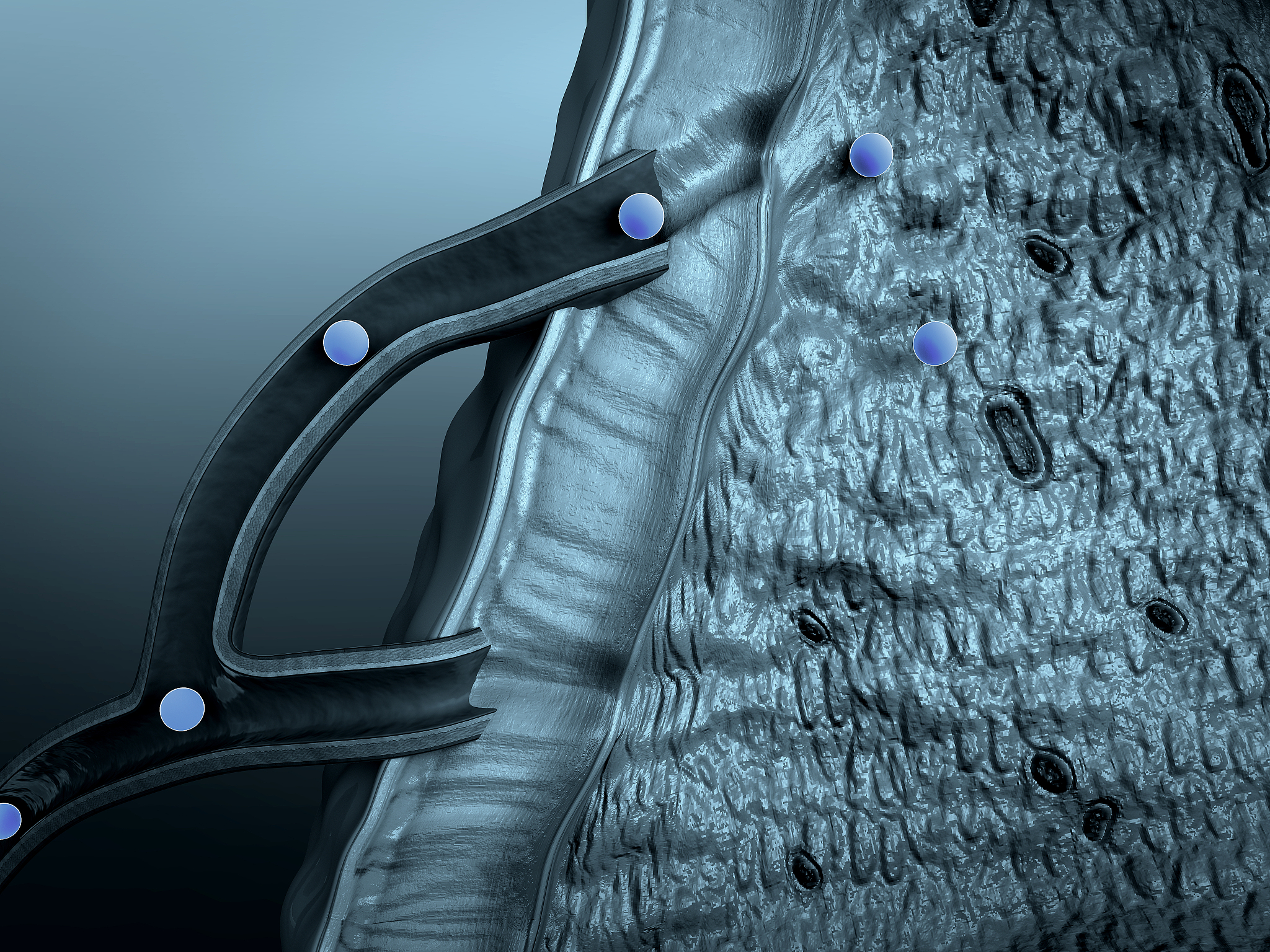 浙江大学医学院临床医学专业学习那些课程？多不多？