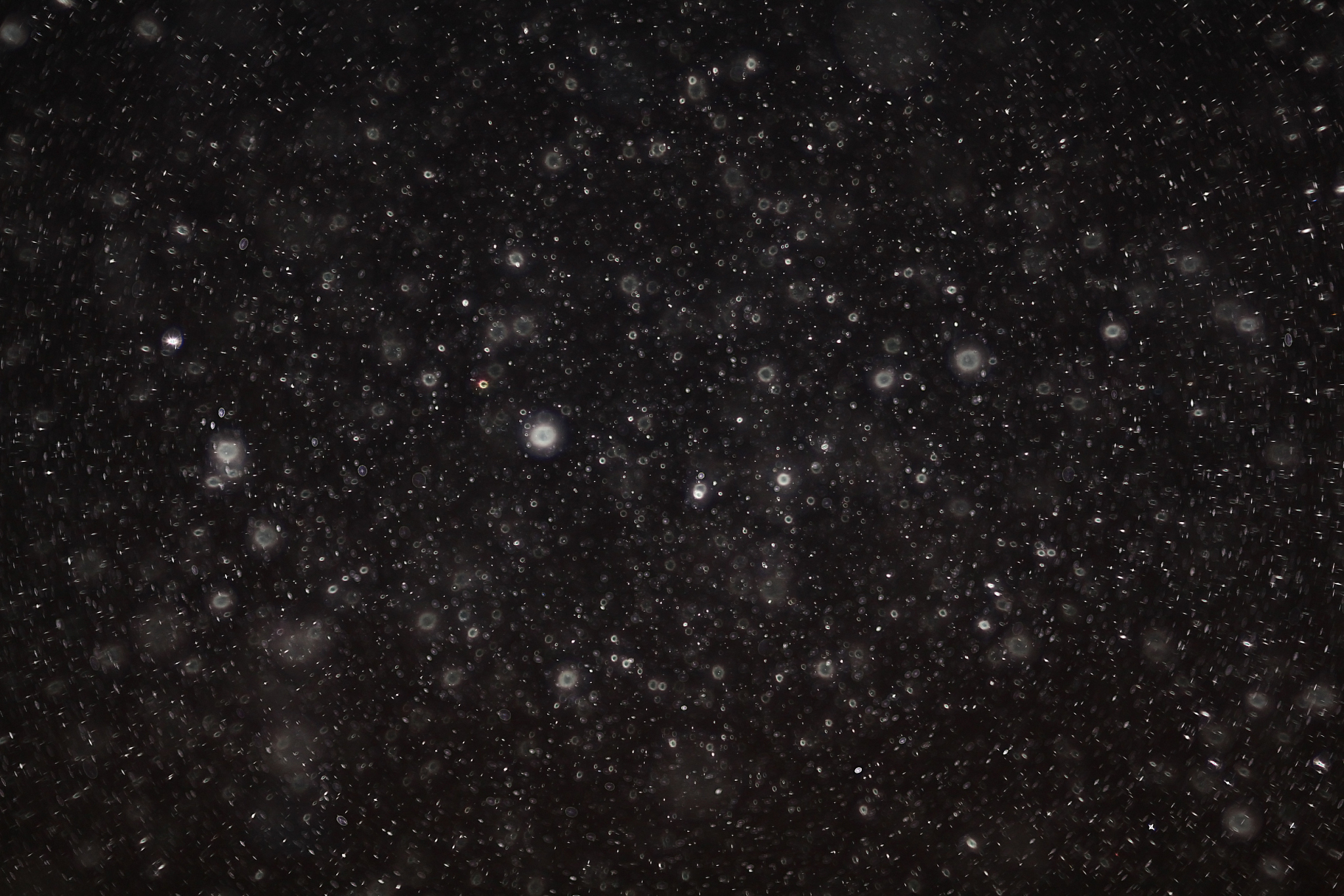 abstract black white snow texture on black background for overla