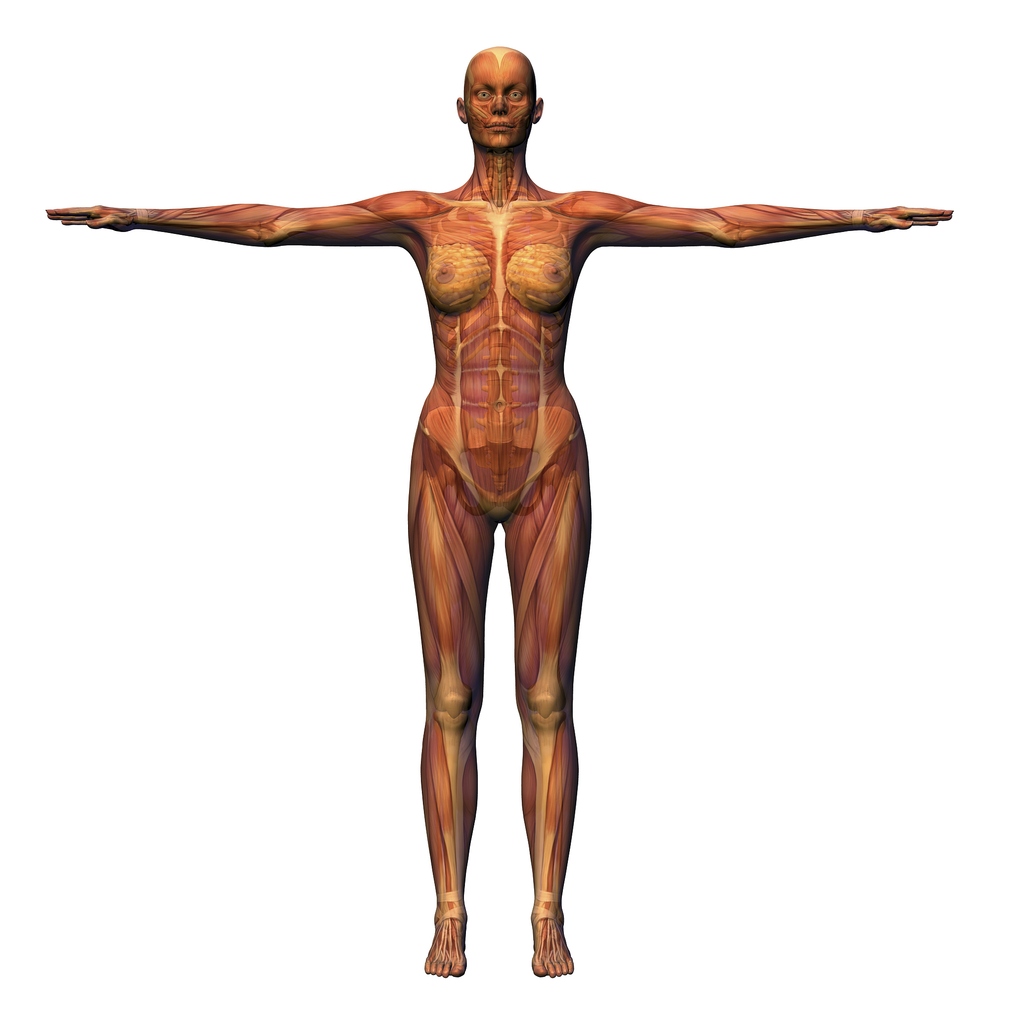 生理期女性身体状况及注意事项 | 营养师丁春荣