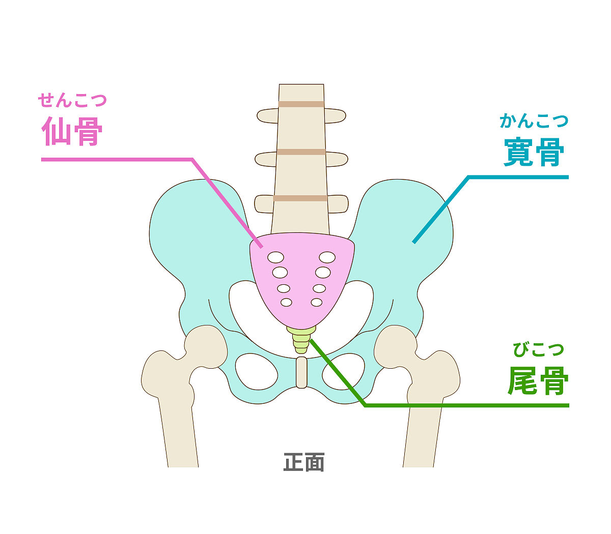 盆骨疼痛的原因：受凉、月经期、过度劳累等，如何缓解？