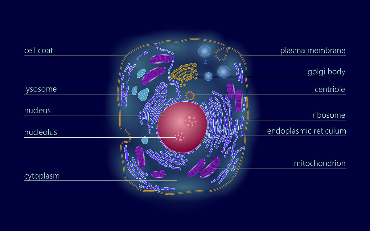 石河子卫生学校五年制大专2022年招生要求 - 医学专业人才培养新标准