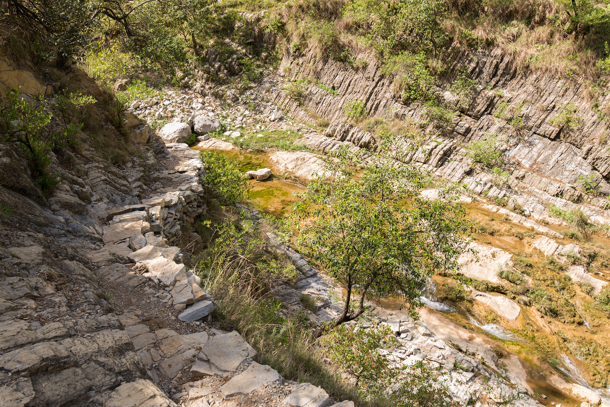 红河女生学什么中专专业好？就业前景分析与推荐