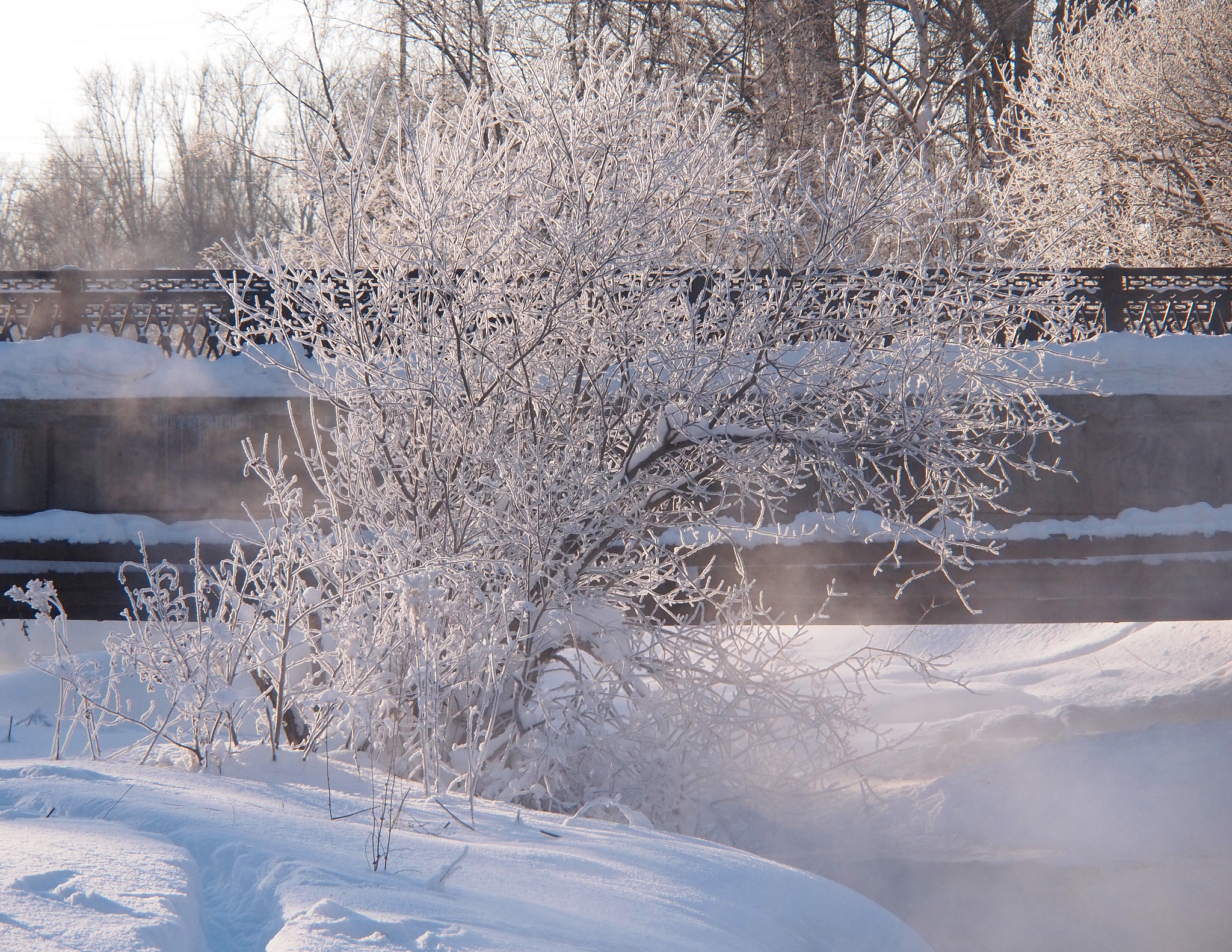 描写冬天物候的诗句