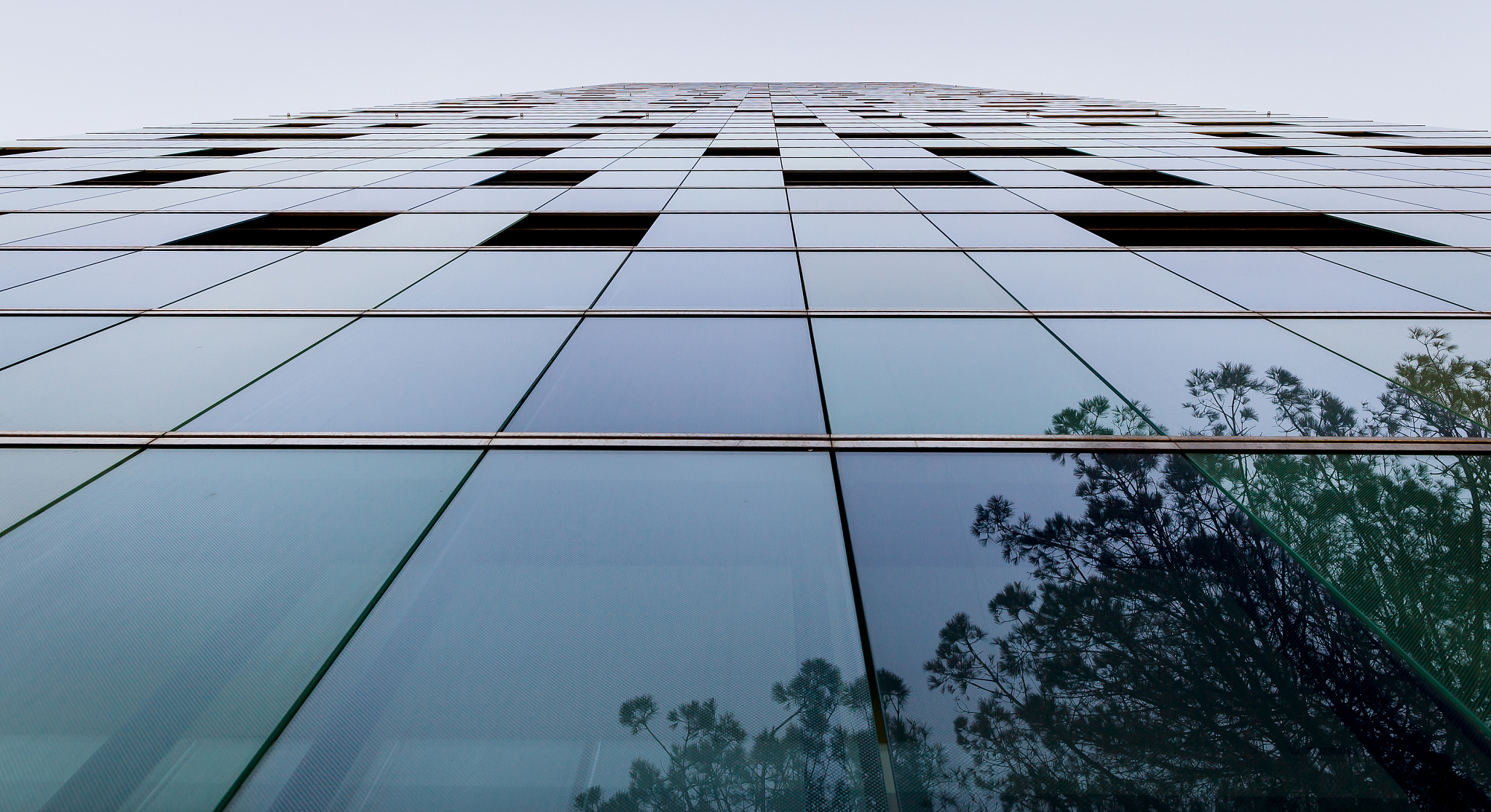 window of a skyscraper
