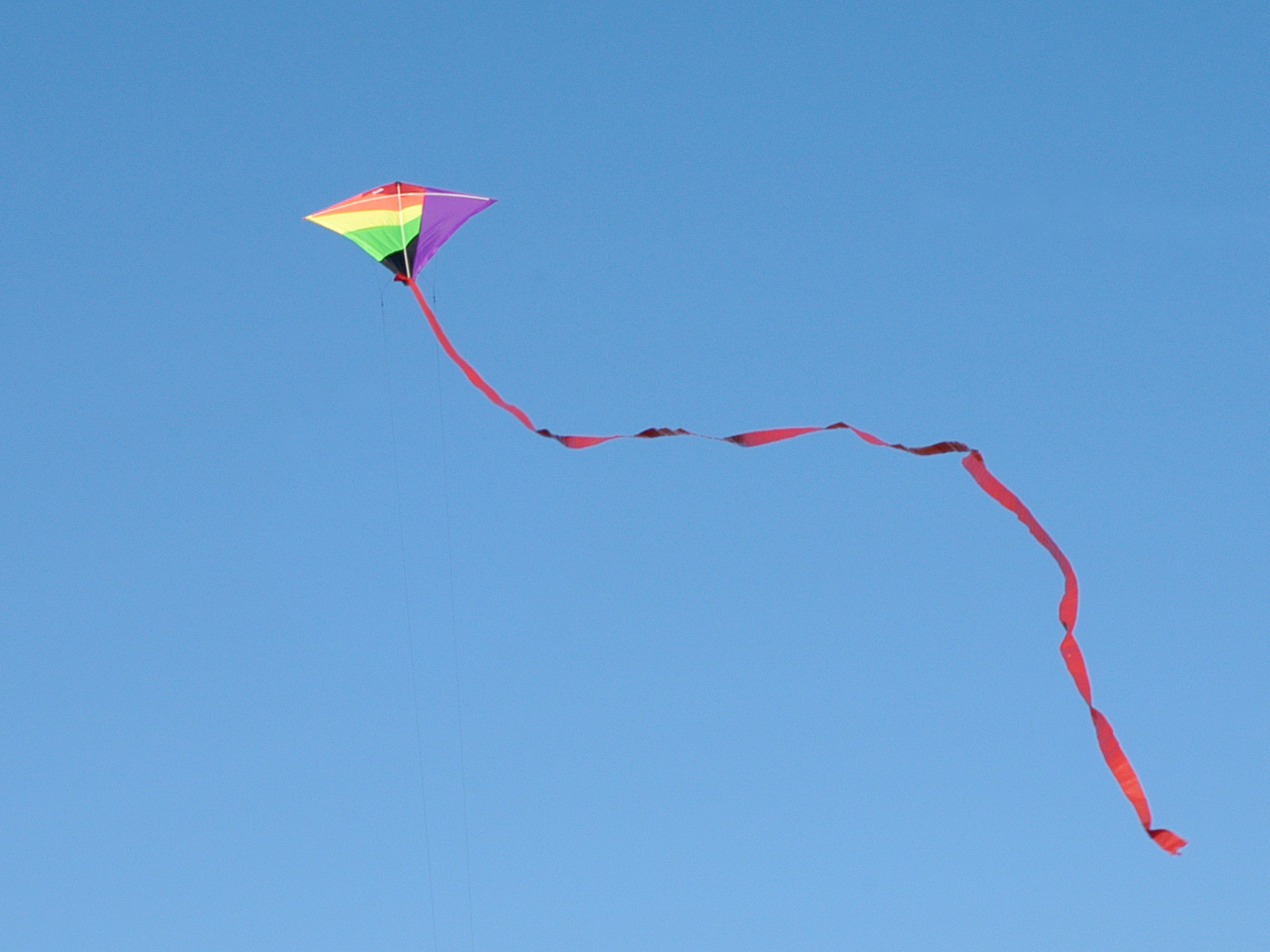 kite in the sky