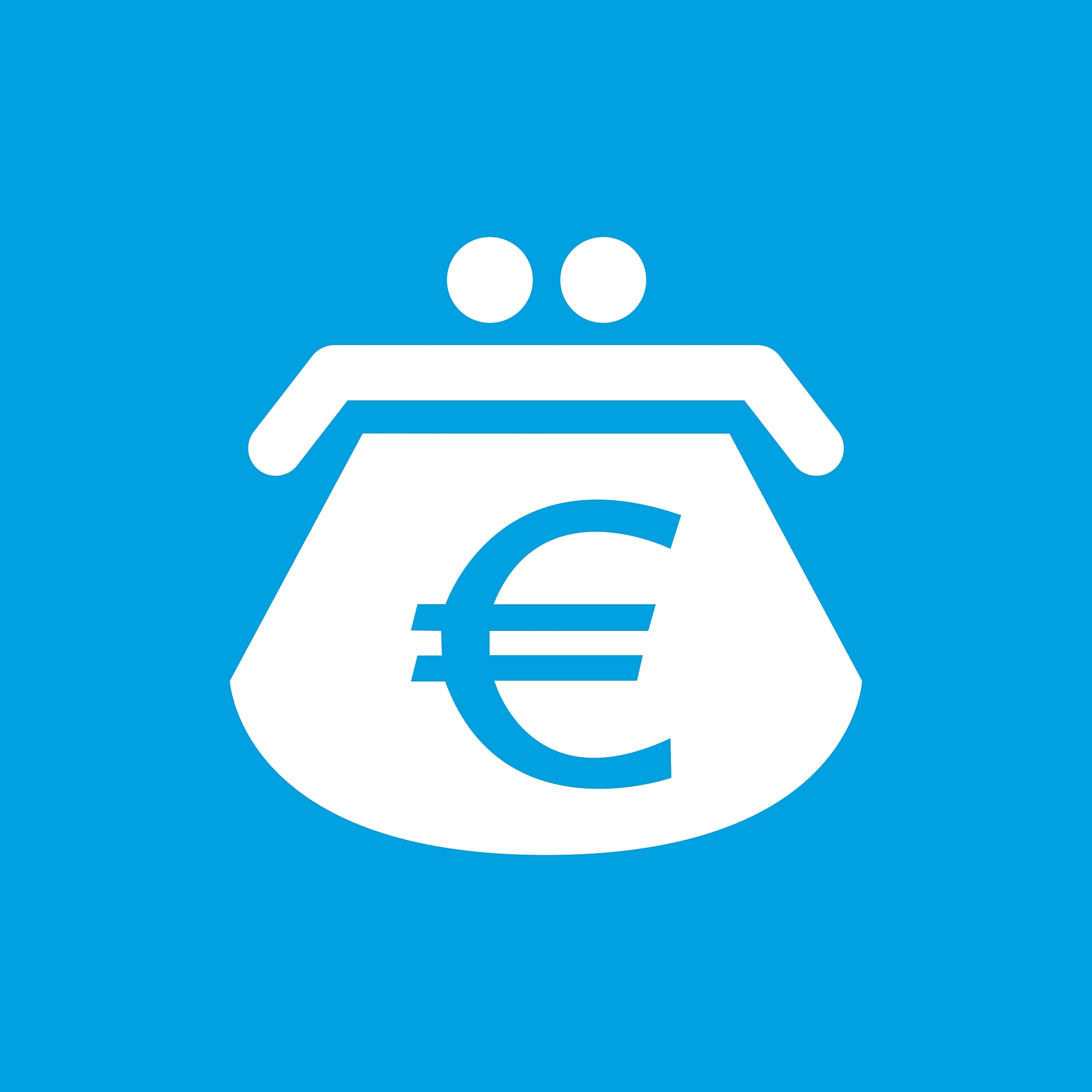 euro purse white icon