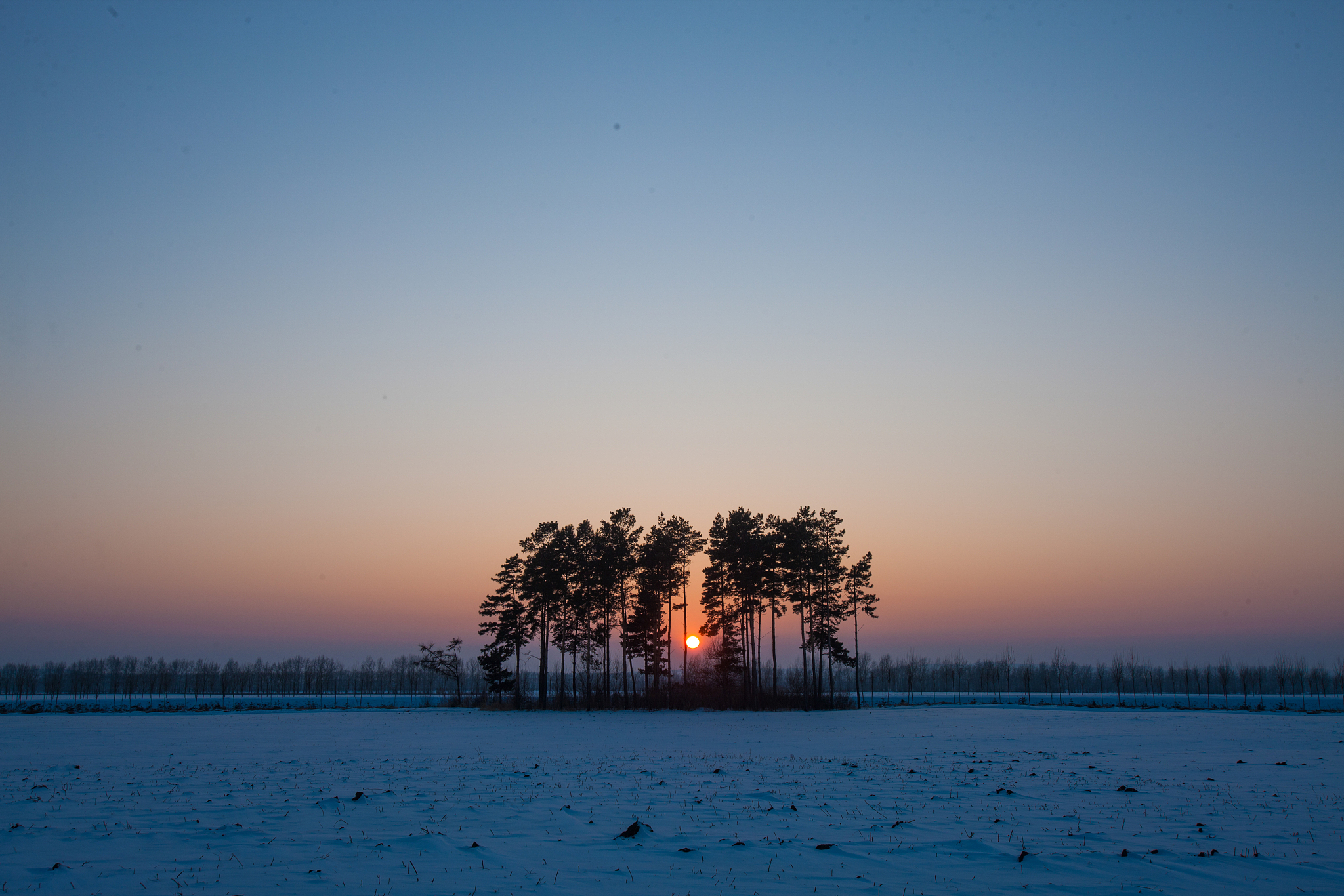 双鸭山机电机械学校怎么样？_高职院校介绍_专业排名_就业前景