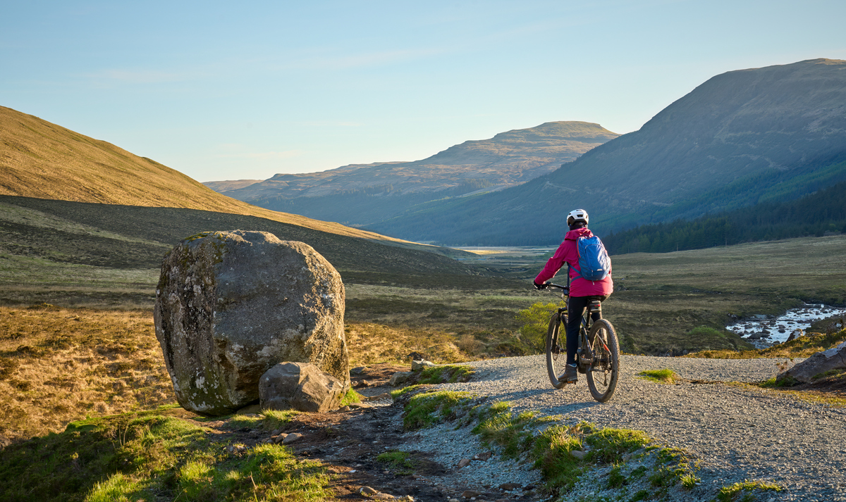 Tom's Mountain Bike Photography: Capturing the Excitement and Beauty of the Sport