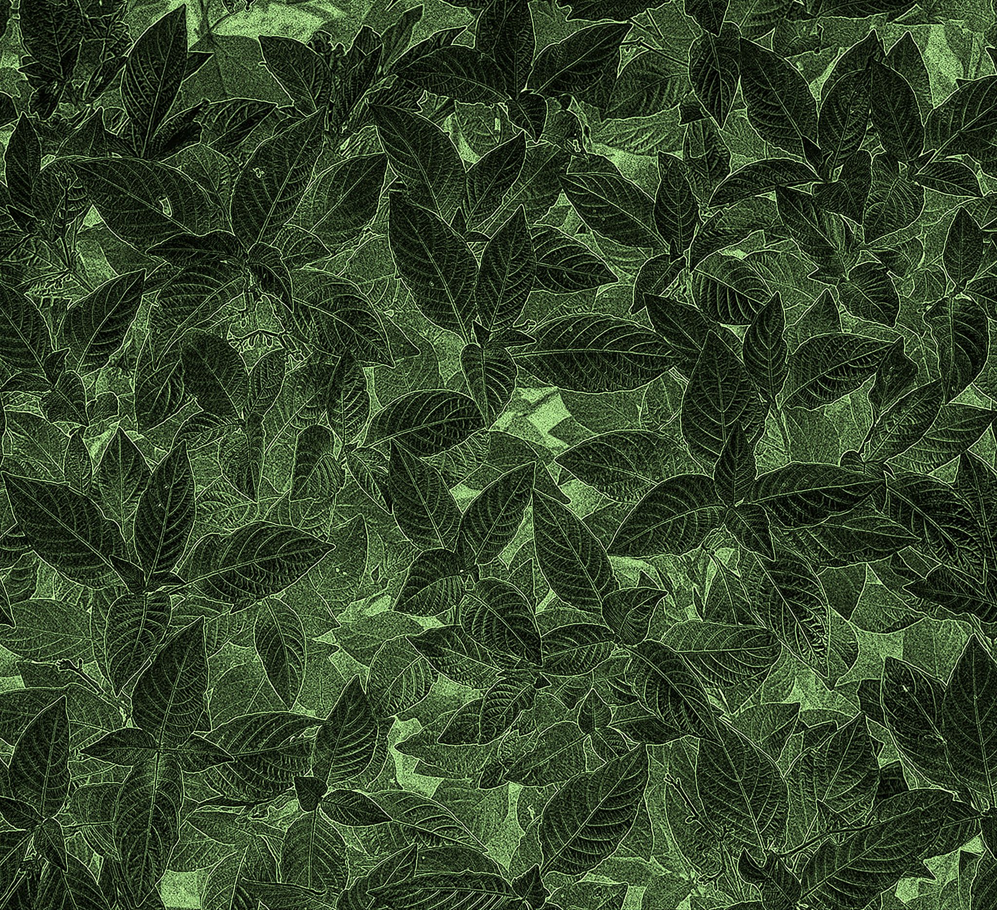 肇庆科技中等职业学校2023年招生专业及未来五年规划