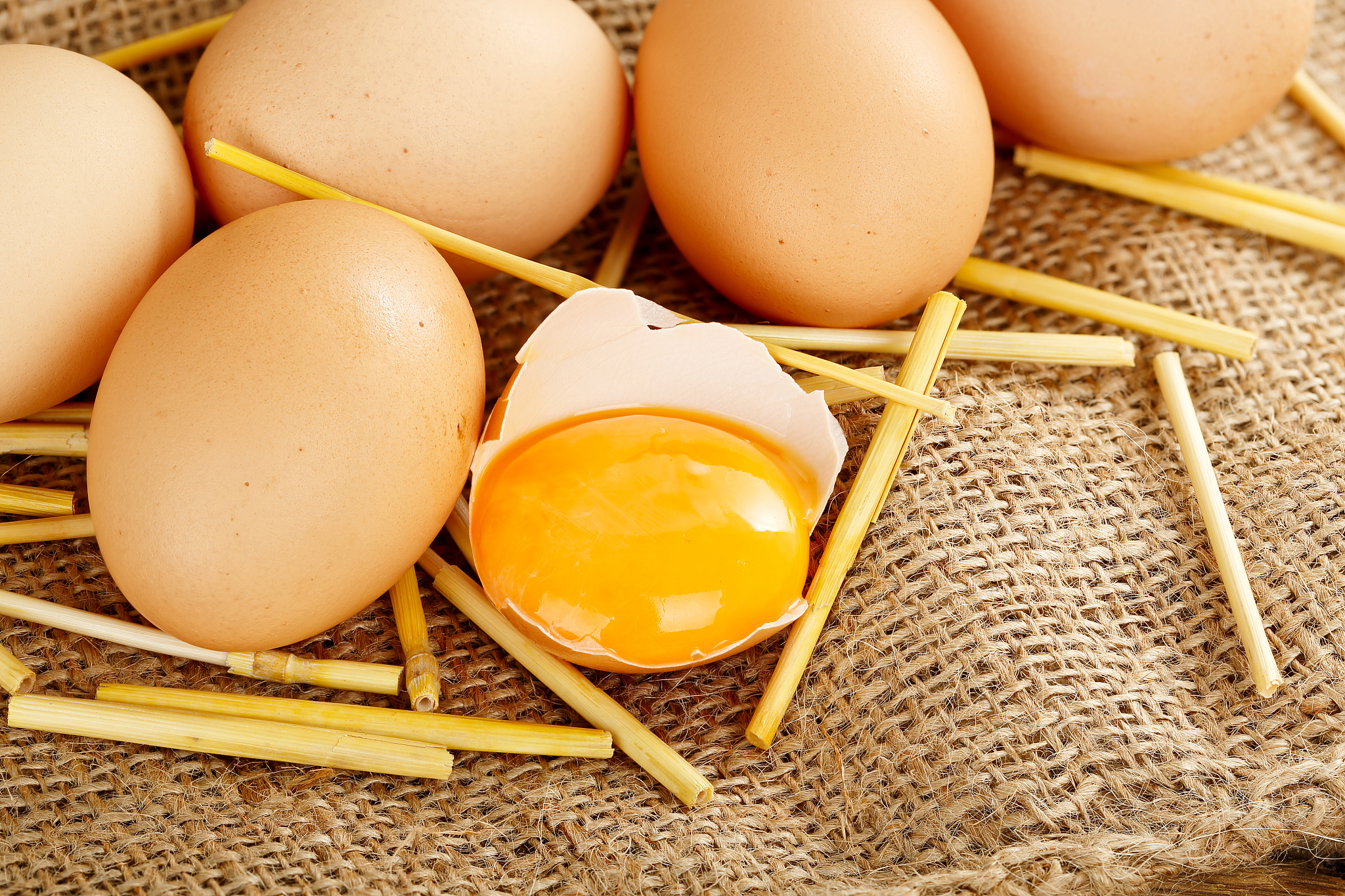 fresh eggs