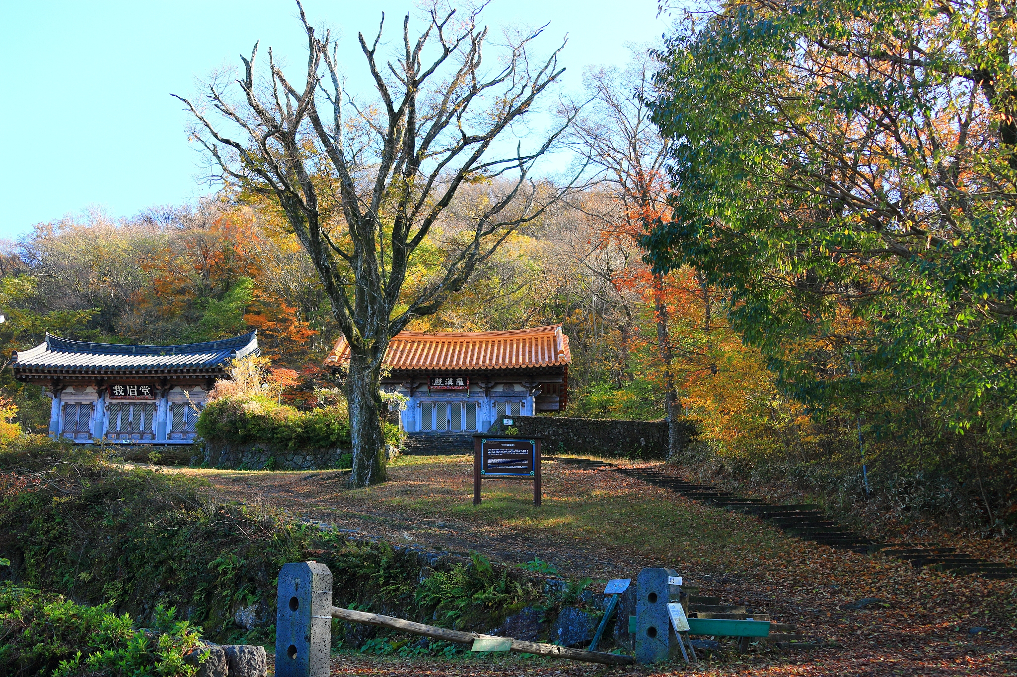 gwaneumsa, autumn, autumn leaves,