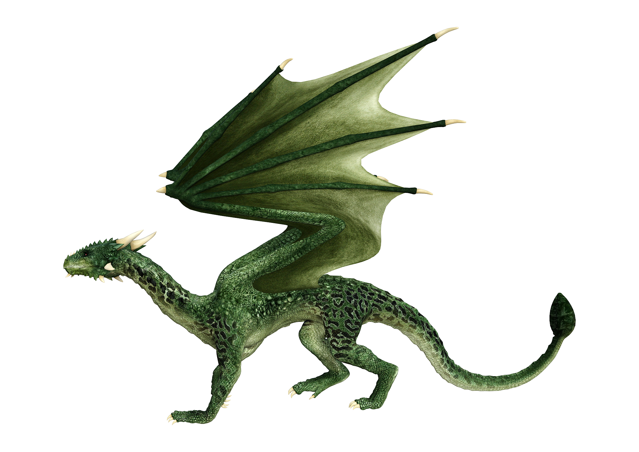 3d illustration fantasy dragon on white