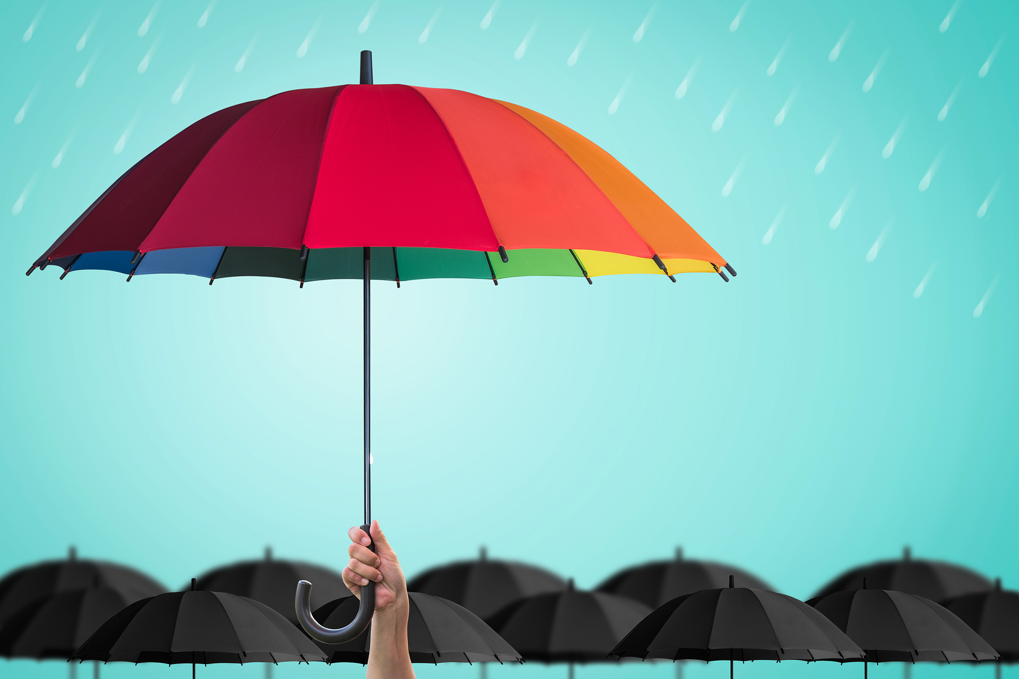 life-health insurance protection, business financial leadership 