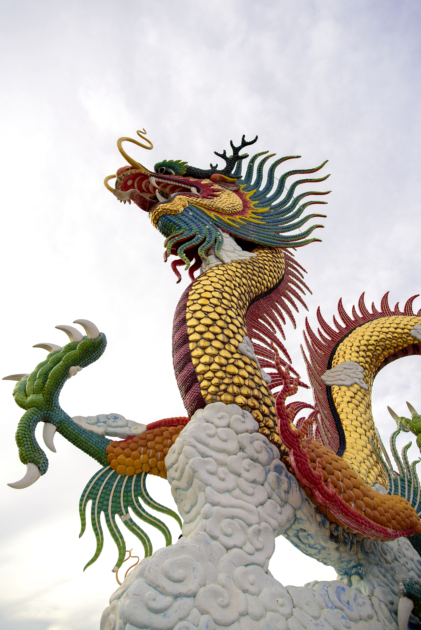 dragon