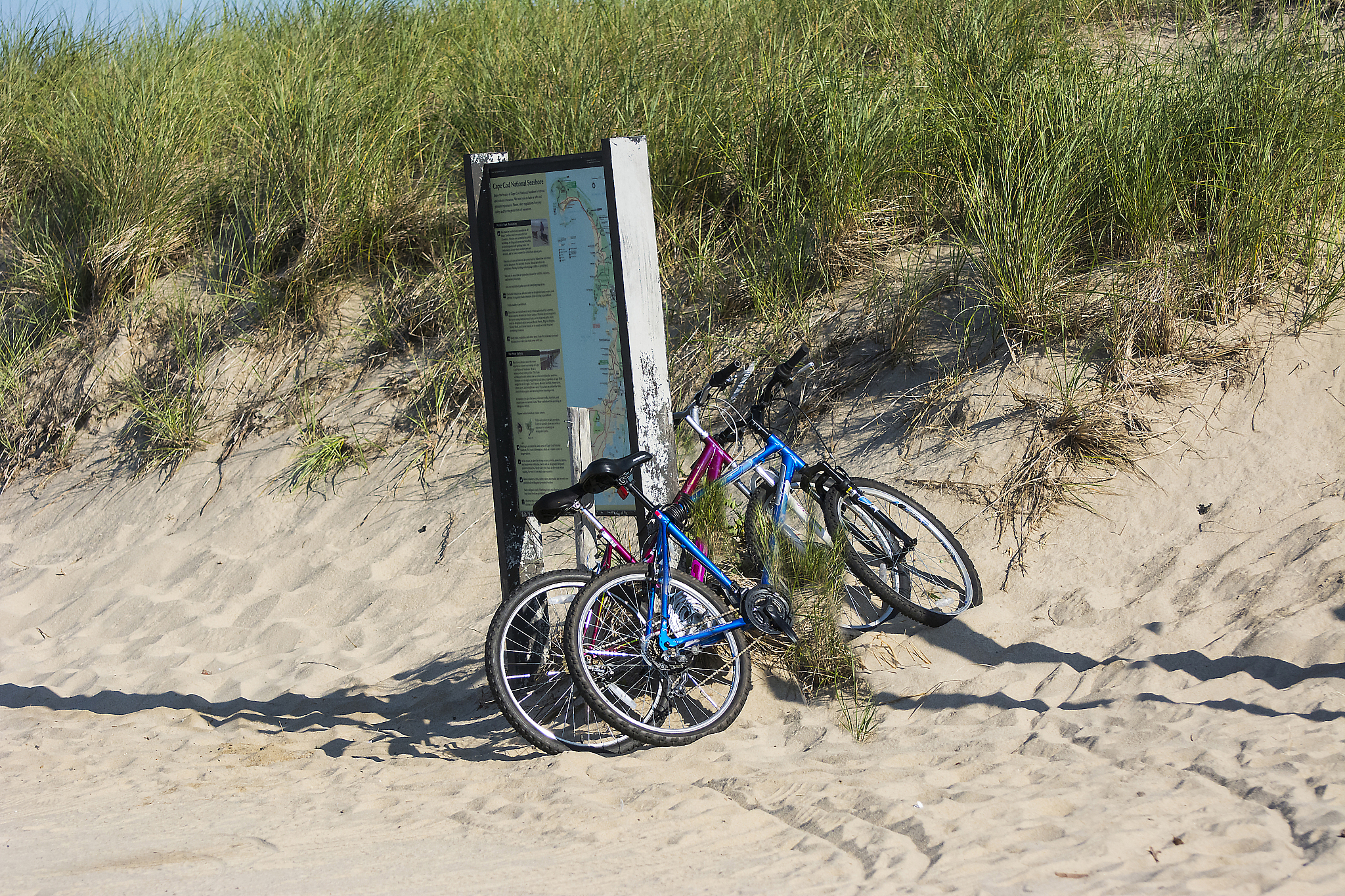 The Decline of Cycling: Infrastructure's Role and Solutions