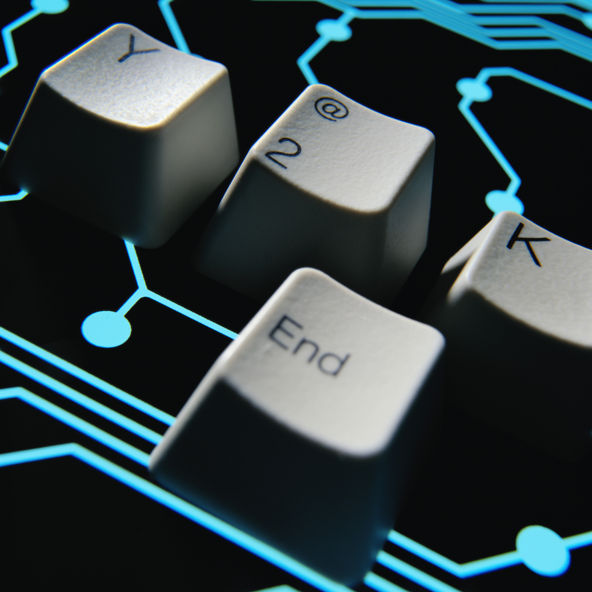 反比例关系：定义、应用及性质 - 小学六年级数学