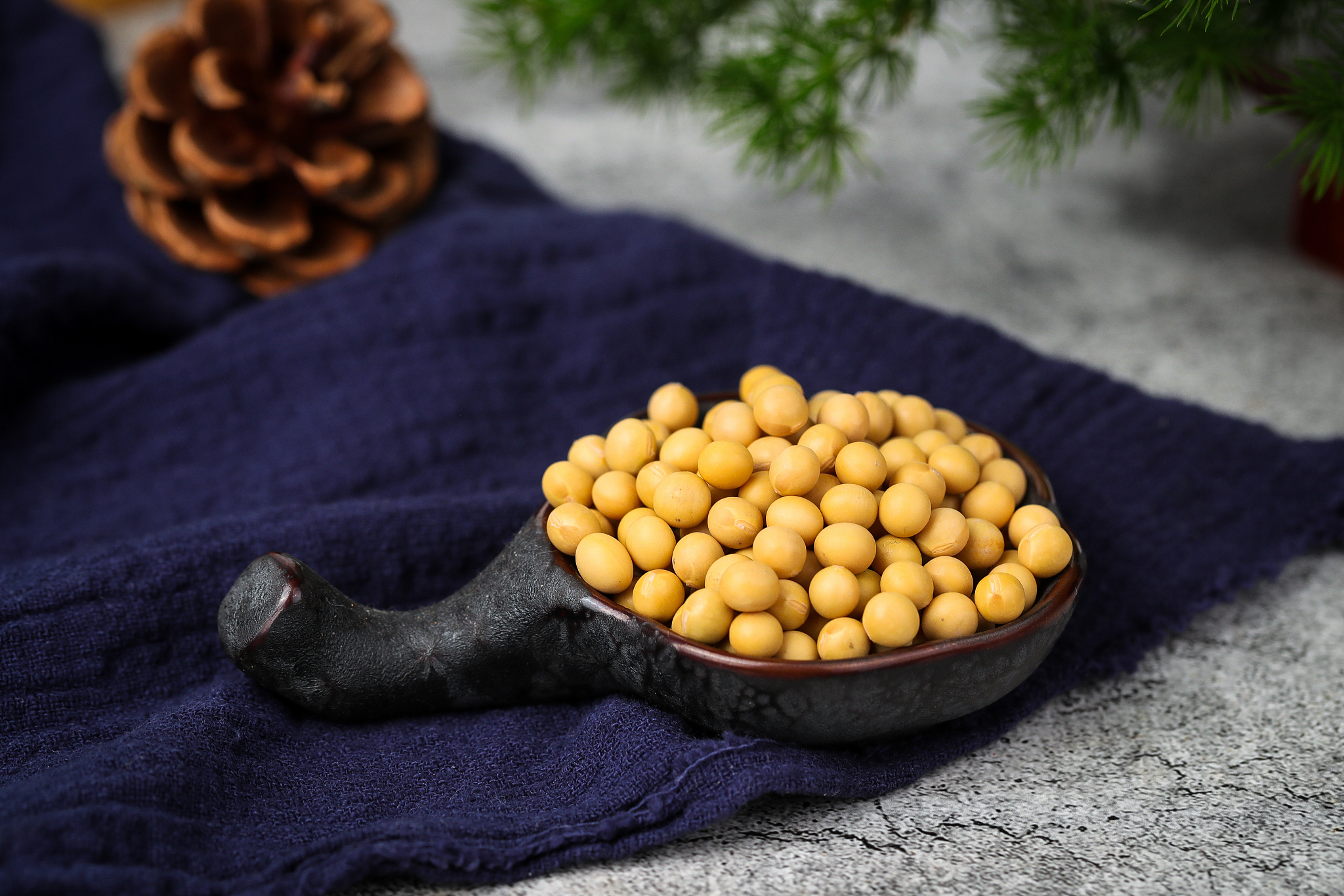 请翻译为了建立大豆品质与产品品质关系的参考