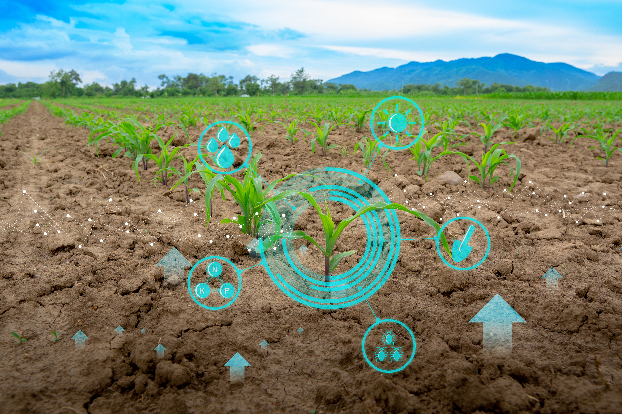 湖北三峡技师学院现代农艺技术专业怎么样？这个专业好不好？