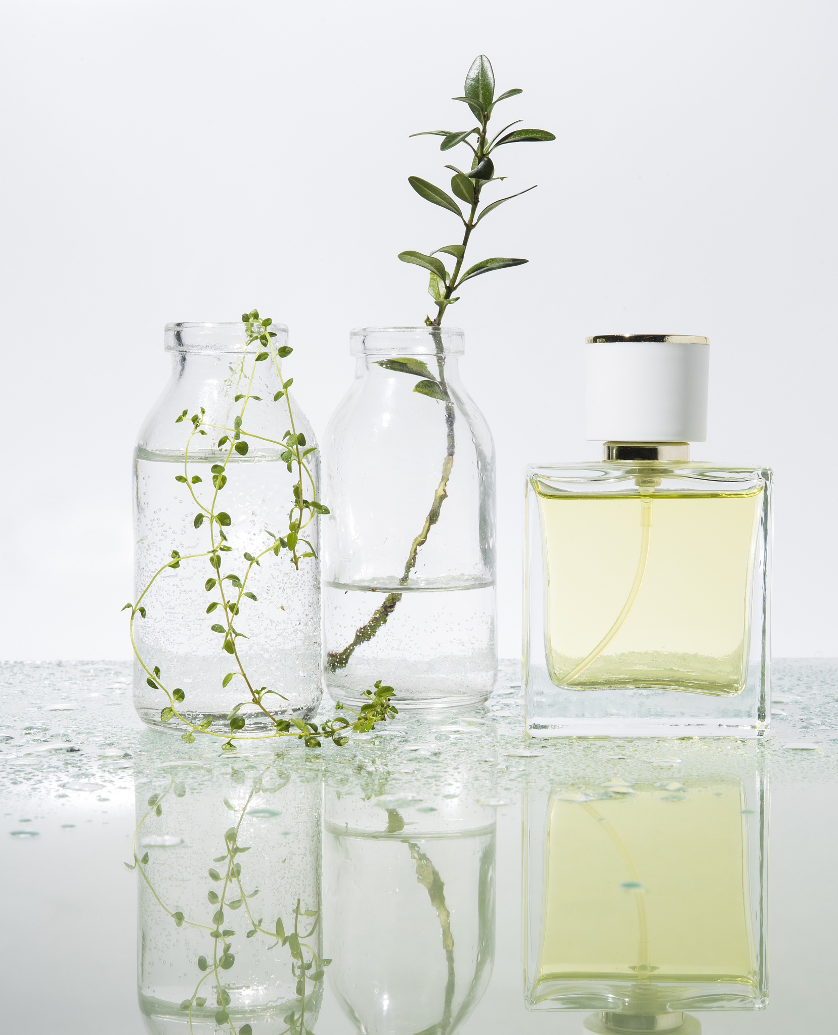 江苏省大港中等专业学校_专业设置_办学层次