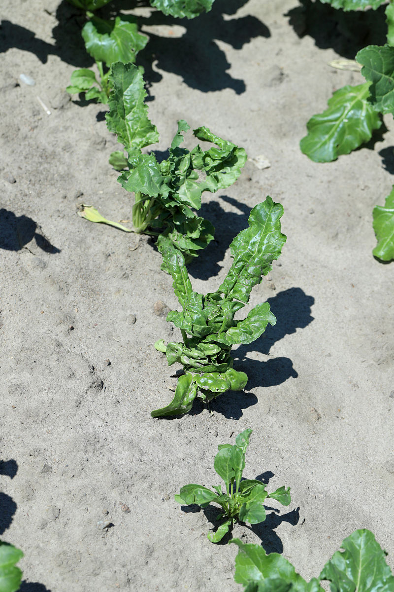 红河州农业学校2022年有哪些专业