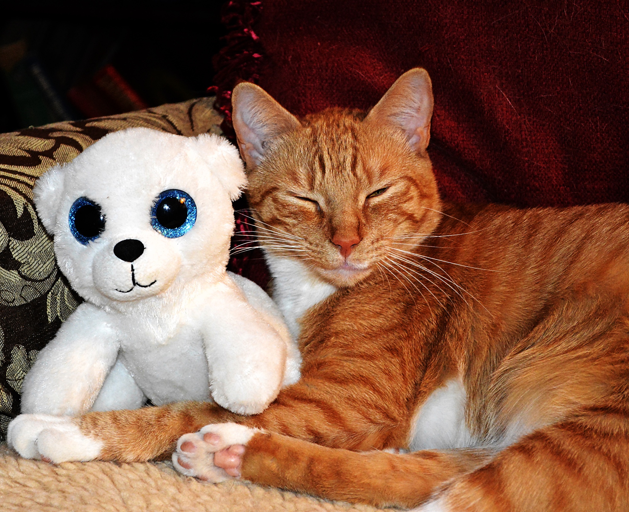 几例猫应激引起的下泌尿道综合征的诊断与治疗论文大纲