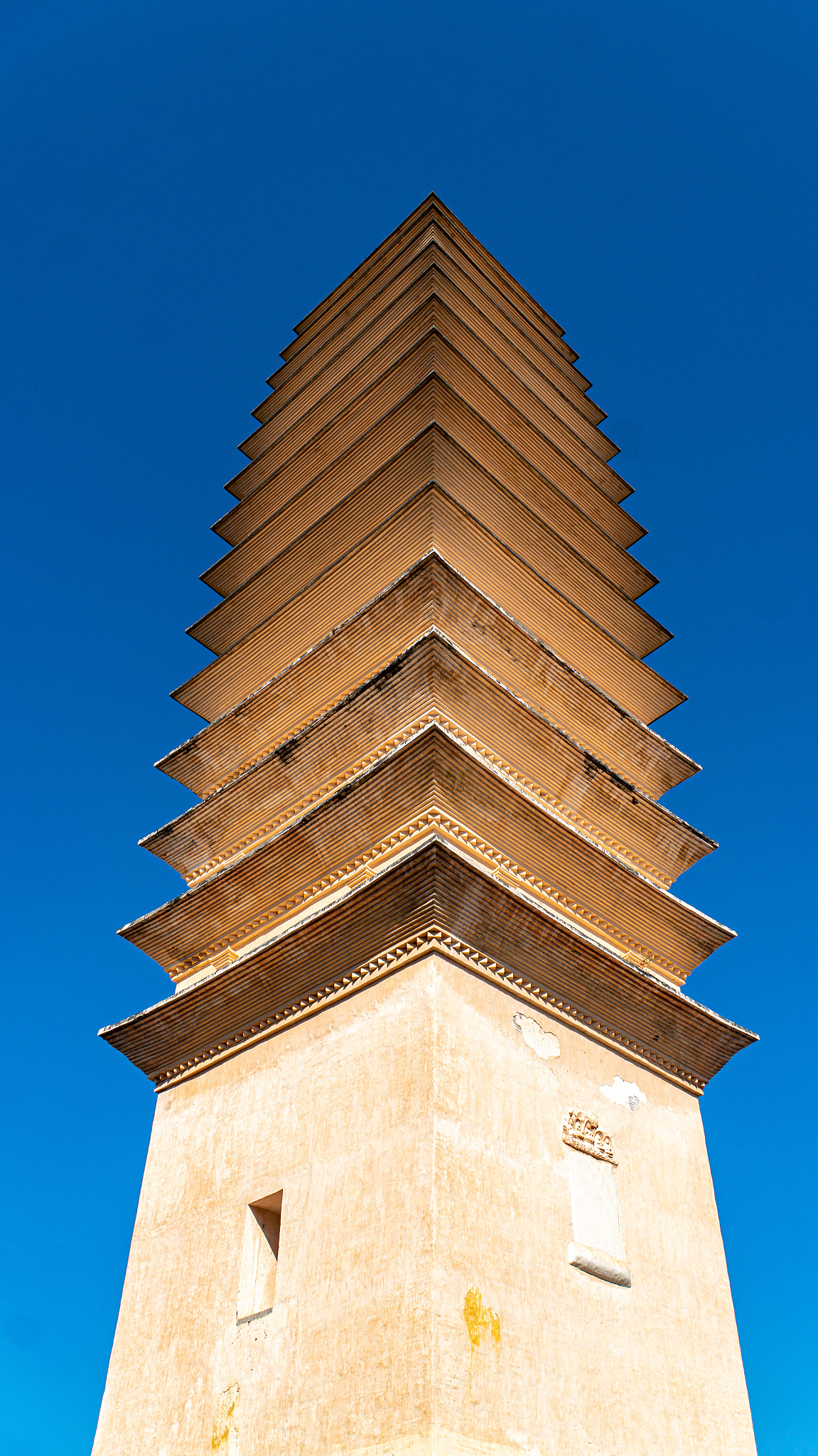 大理卫生学校网站网址